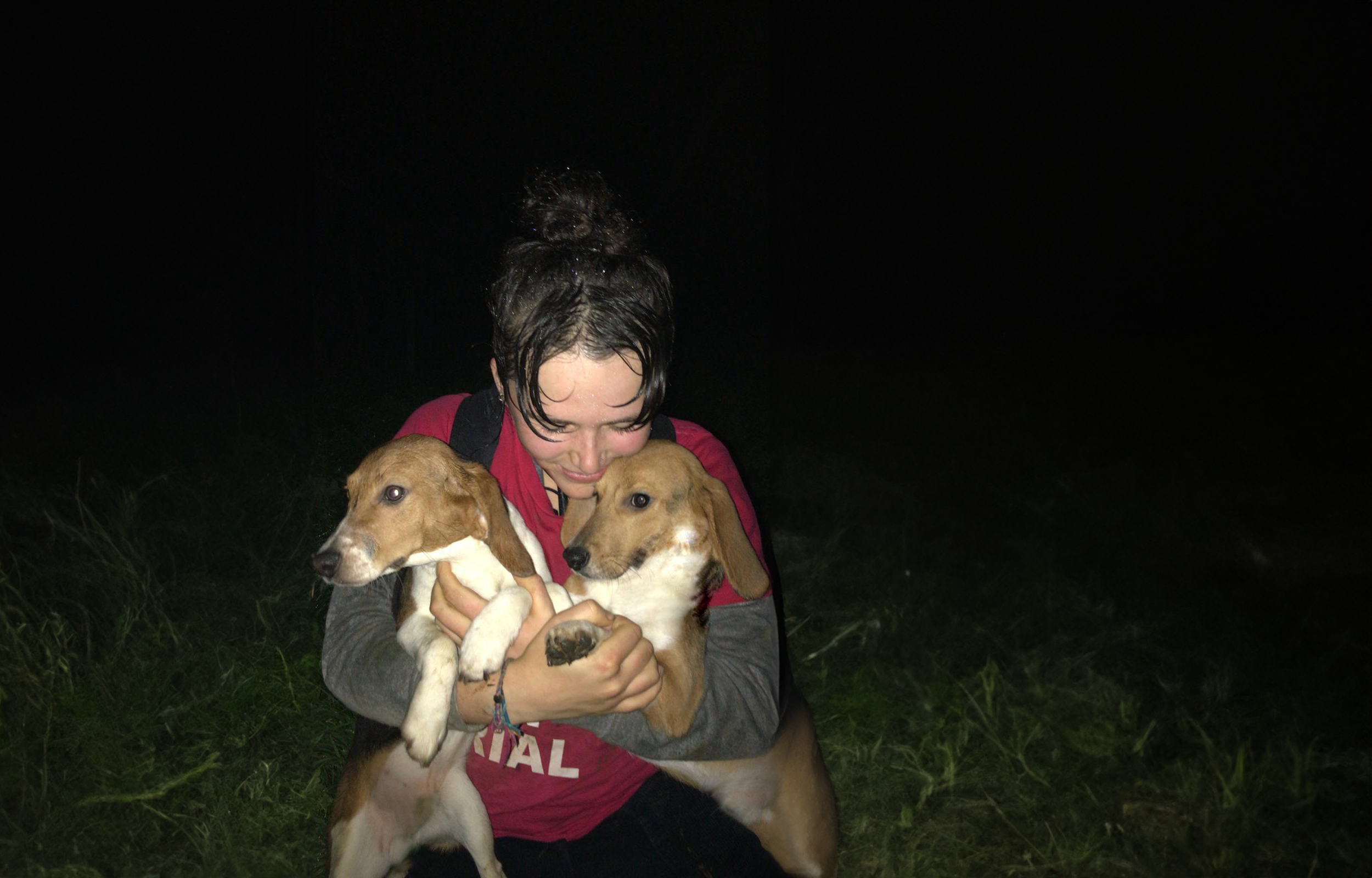 Beagle rescuers convicted of burglary