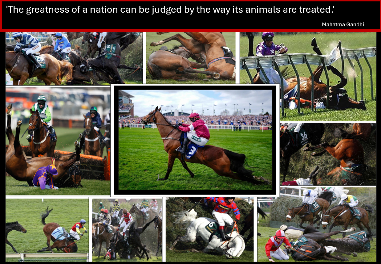 Horse Racing; a “Sport” for Psychopaths