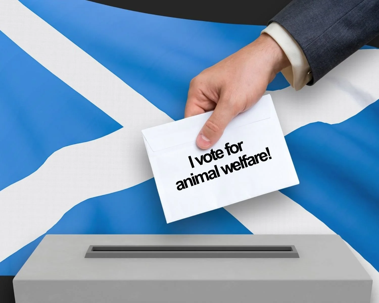 Holyrood Election Guide for Animal Supporters