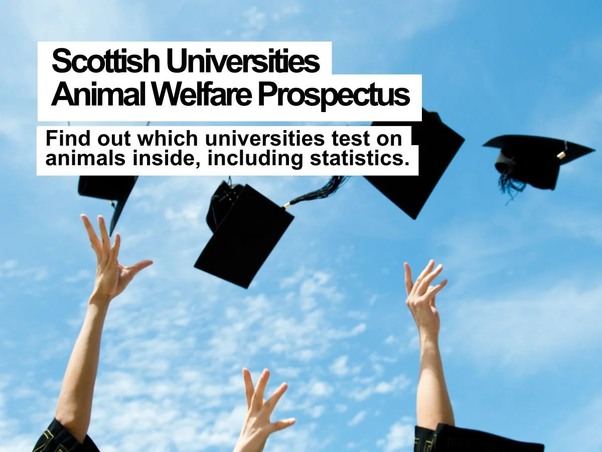 Animal Concern publishes Scottish universities prospectus detailing animal testing statistics