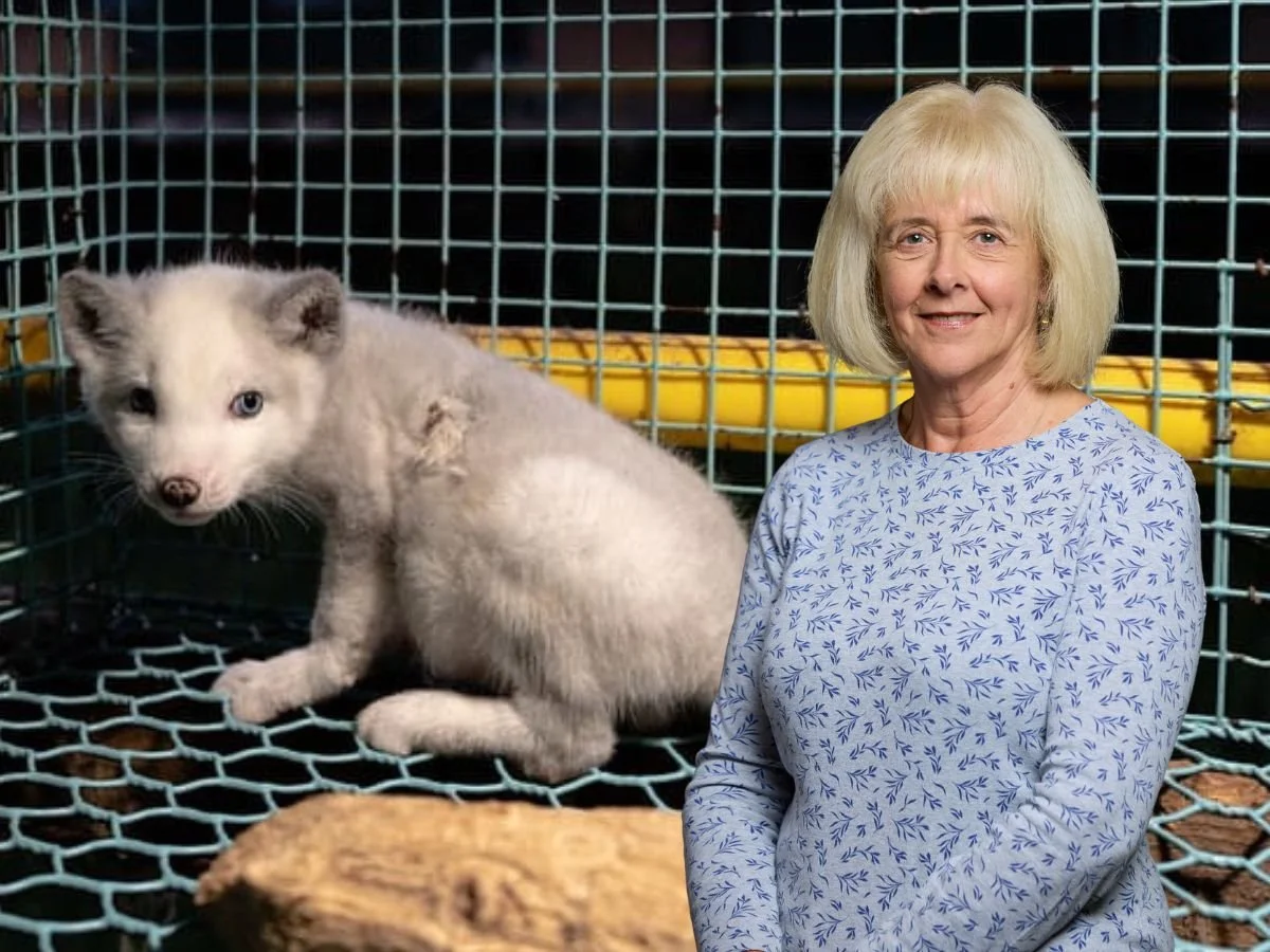 Ruth Jones MP tables Bill to ban fur imports and sales in the UK
