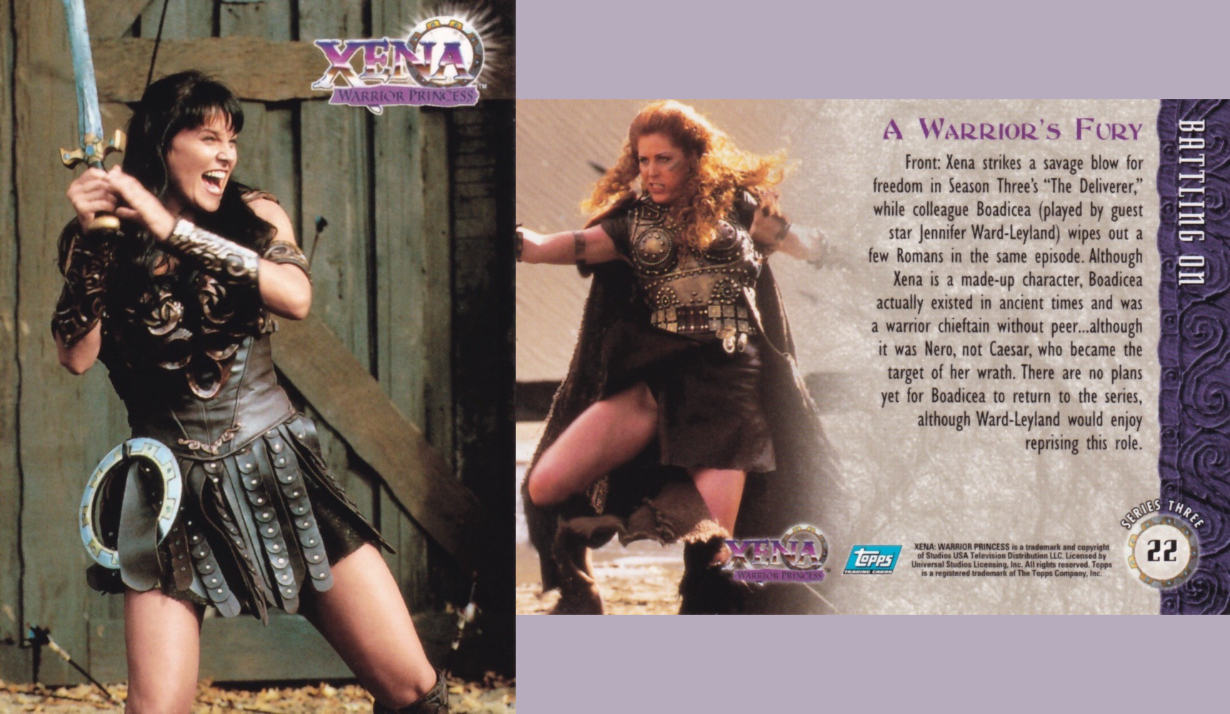 22. A WARRIOR'S FURY