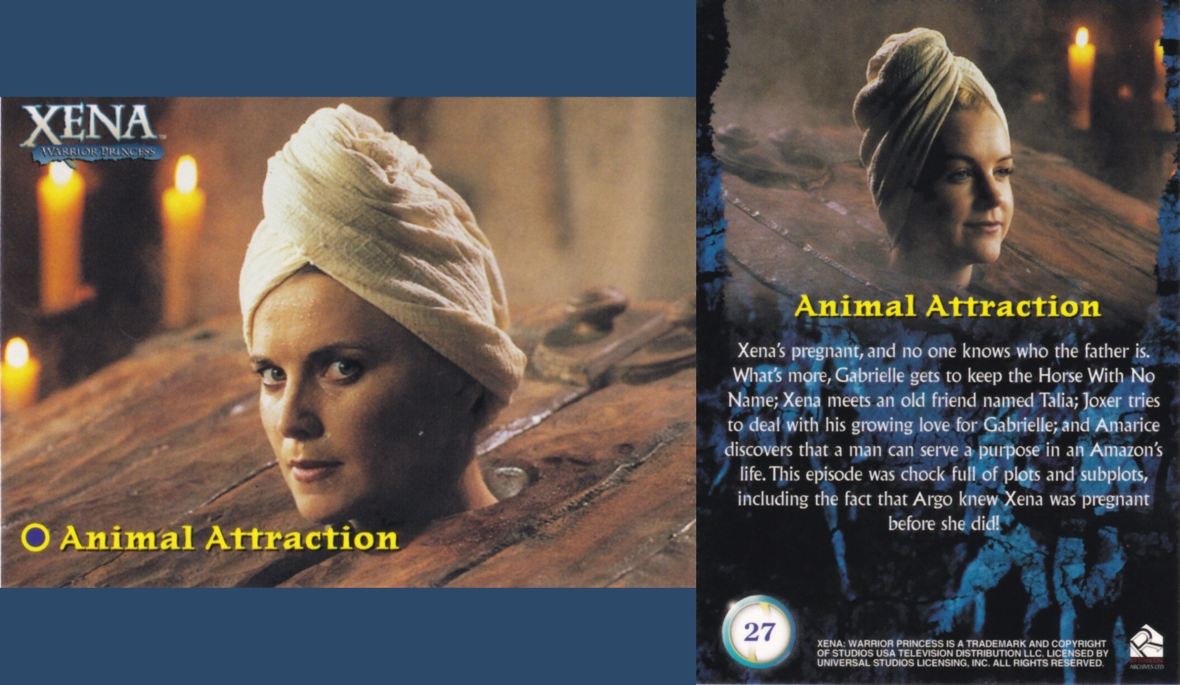 27. ANIMAL ATTRACTION