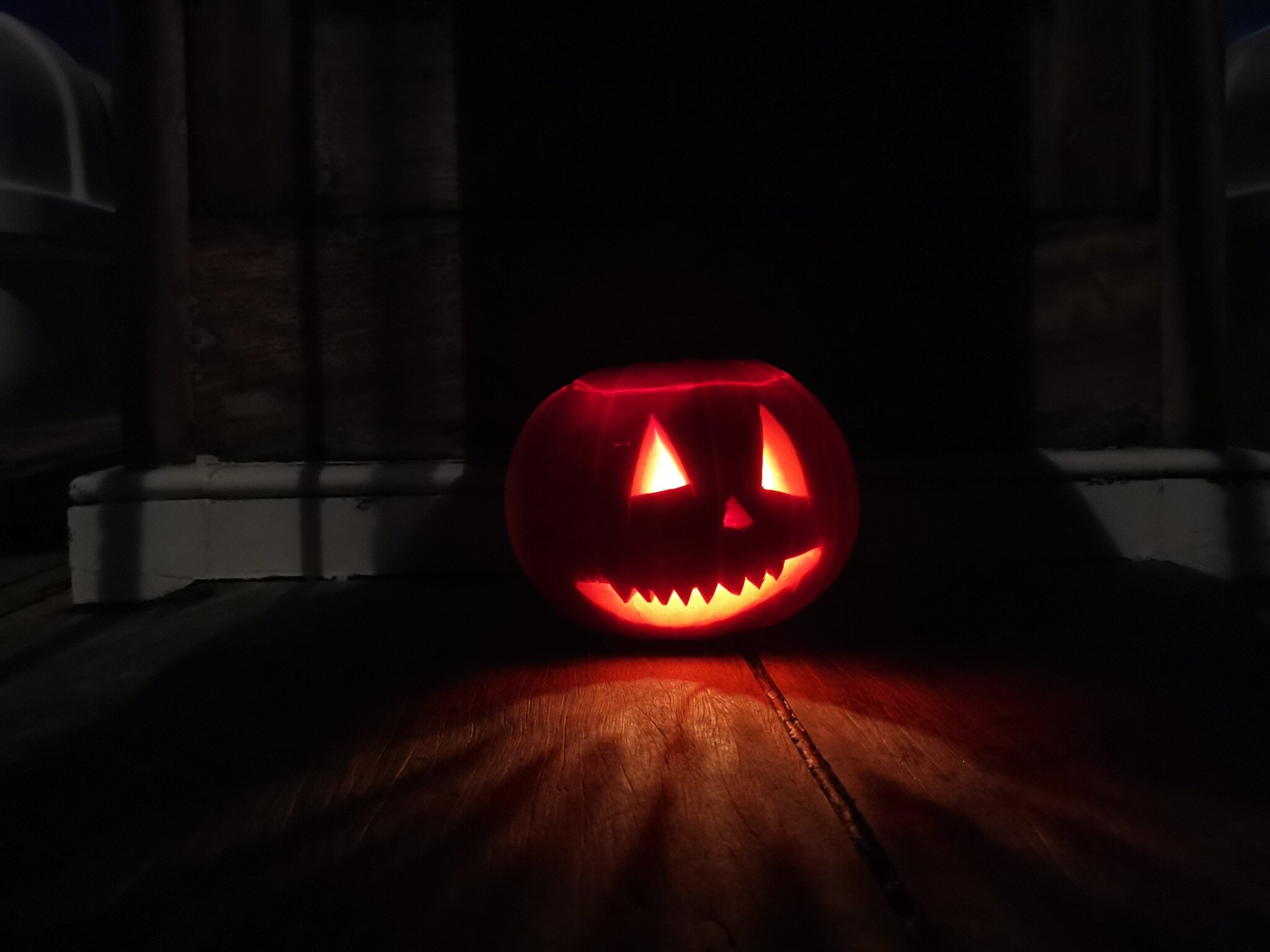 Happy Halloween! Last week's group on Queen Galadriel enjoyed some pumpkin carving on their last evening :-)