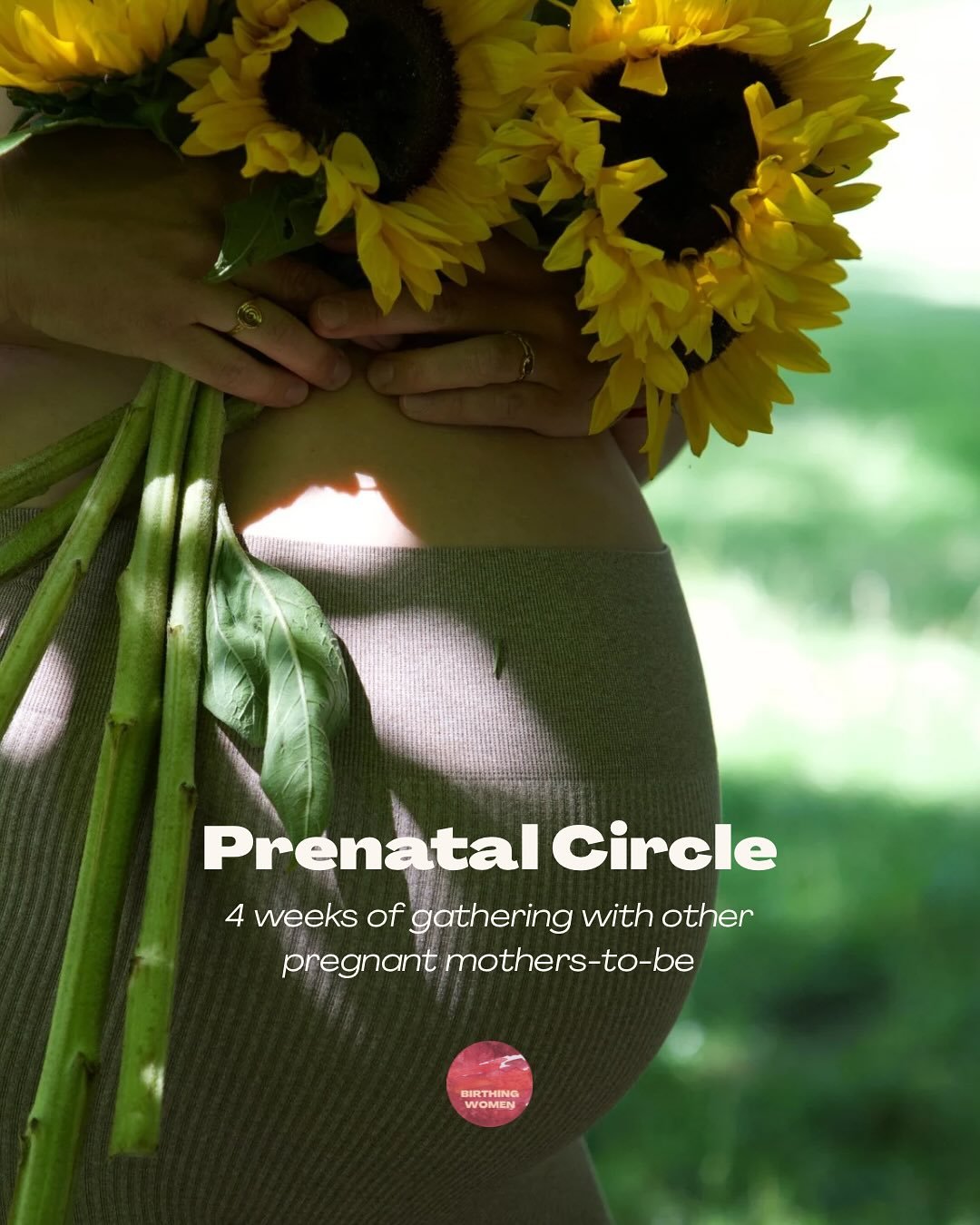 Prenatal Circles🕯️🌹🌀

4-weeks of embodiment, connection and being with other pregnant mothers-to-be in a circle combining sharings, birth wisdom, somatics, breath, movement, pelvic knowledge, sound bath and rest✨

Join us from January 19 or Februa