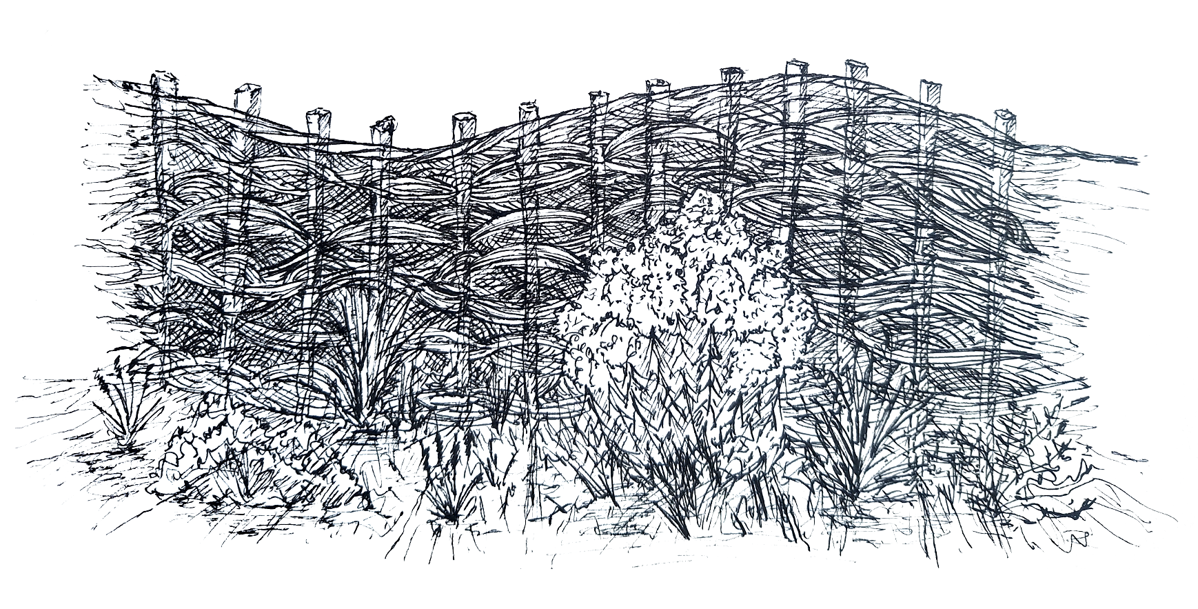 A black and white sketch of a natural landscape with trees, bushes, and a hill in the background.