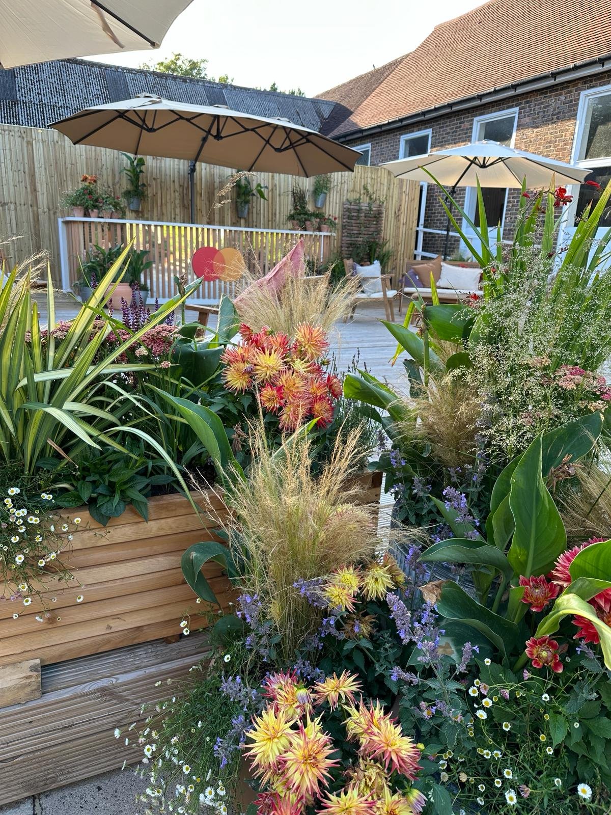 A backyard garden patio with colorful flowers, potted plants, and umbrellas, adjacent to a house with brick walls and windows.