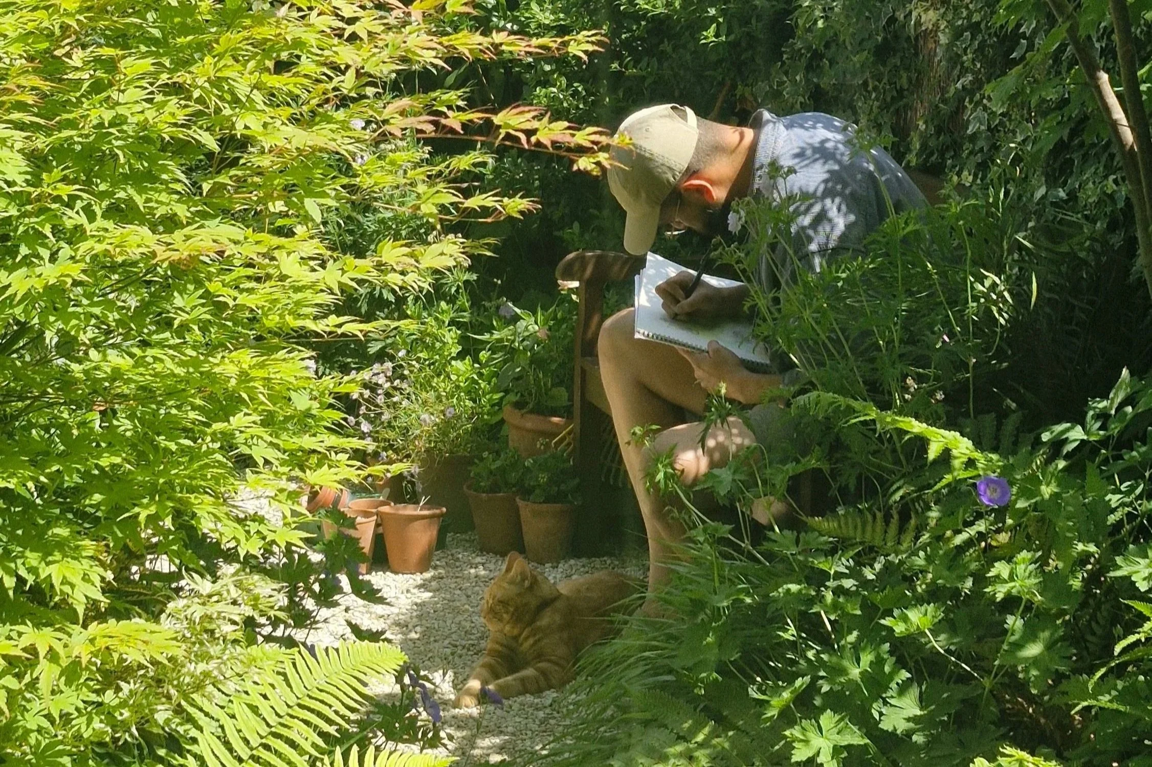 A man wearing a hat and sunglasses sketching in a notebook while sitting among green plants in an outdoor garden, with a tiger lying on the ground nearby.