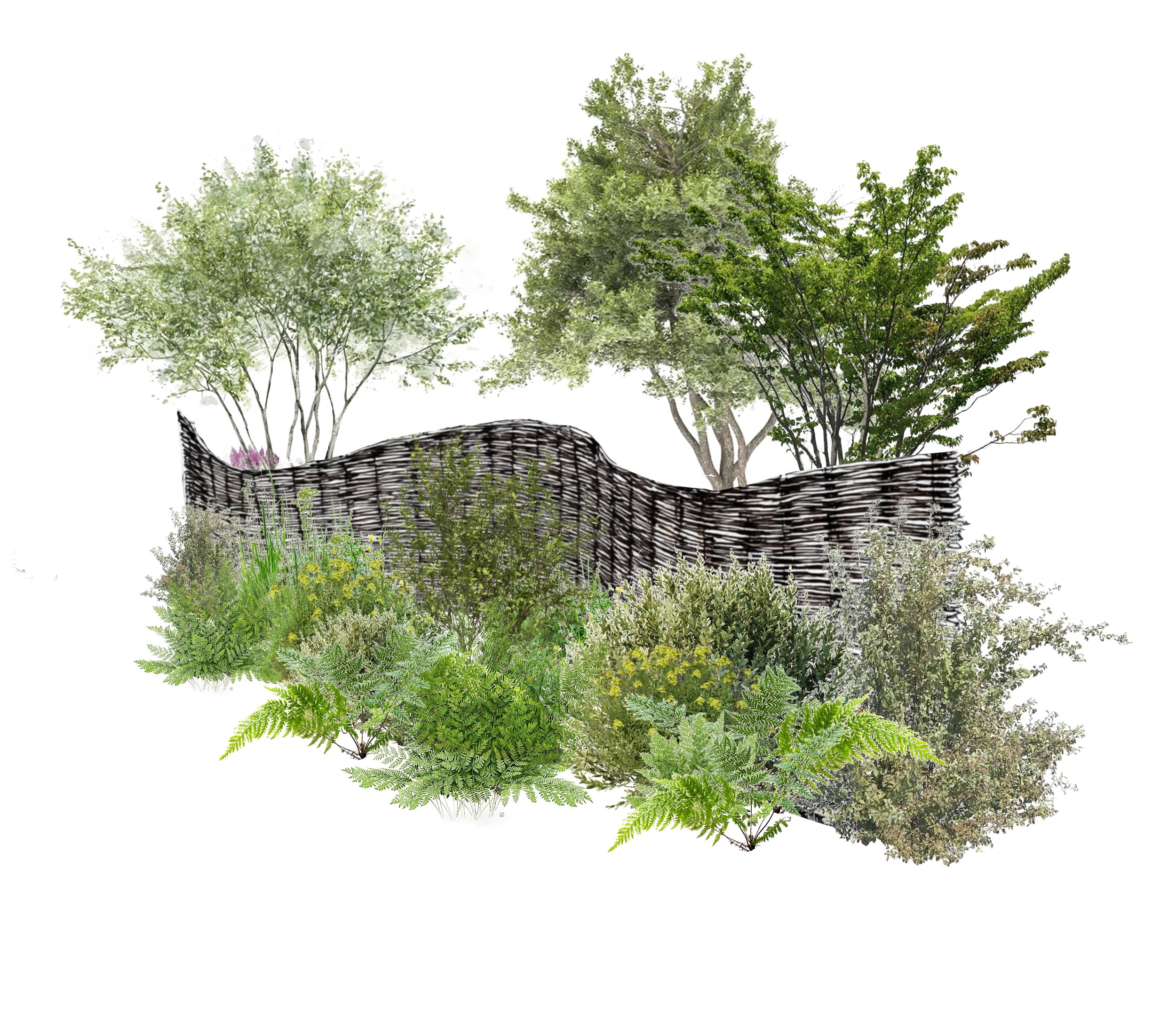 White background with various green trees, shrubs, and plants arranged in a pattern.