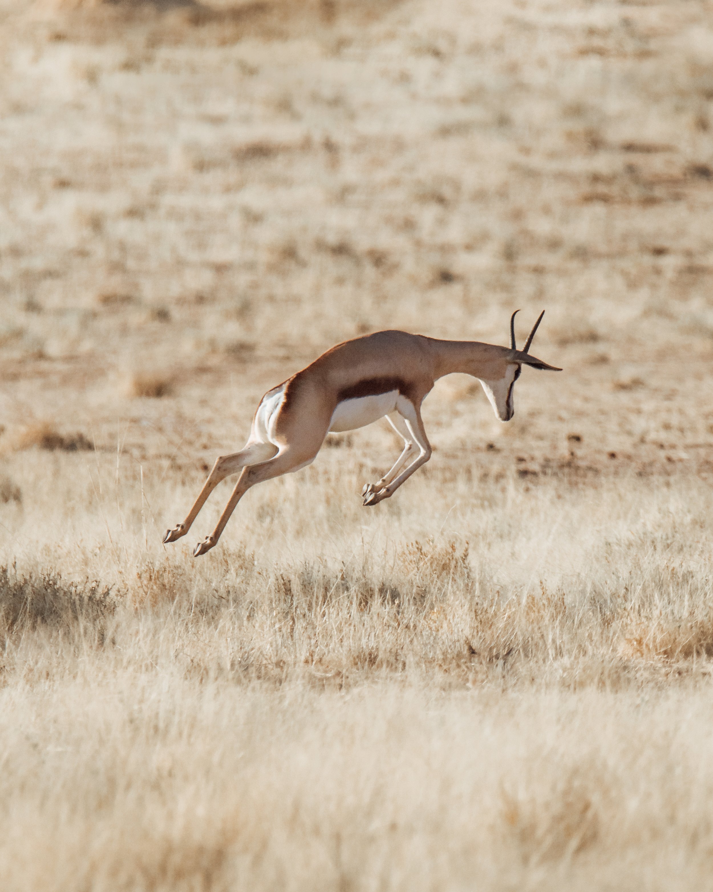 DSC_0820.jpg