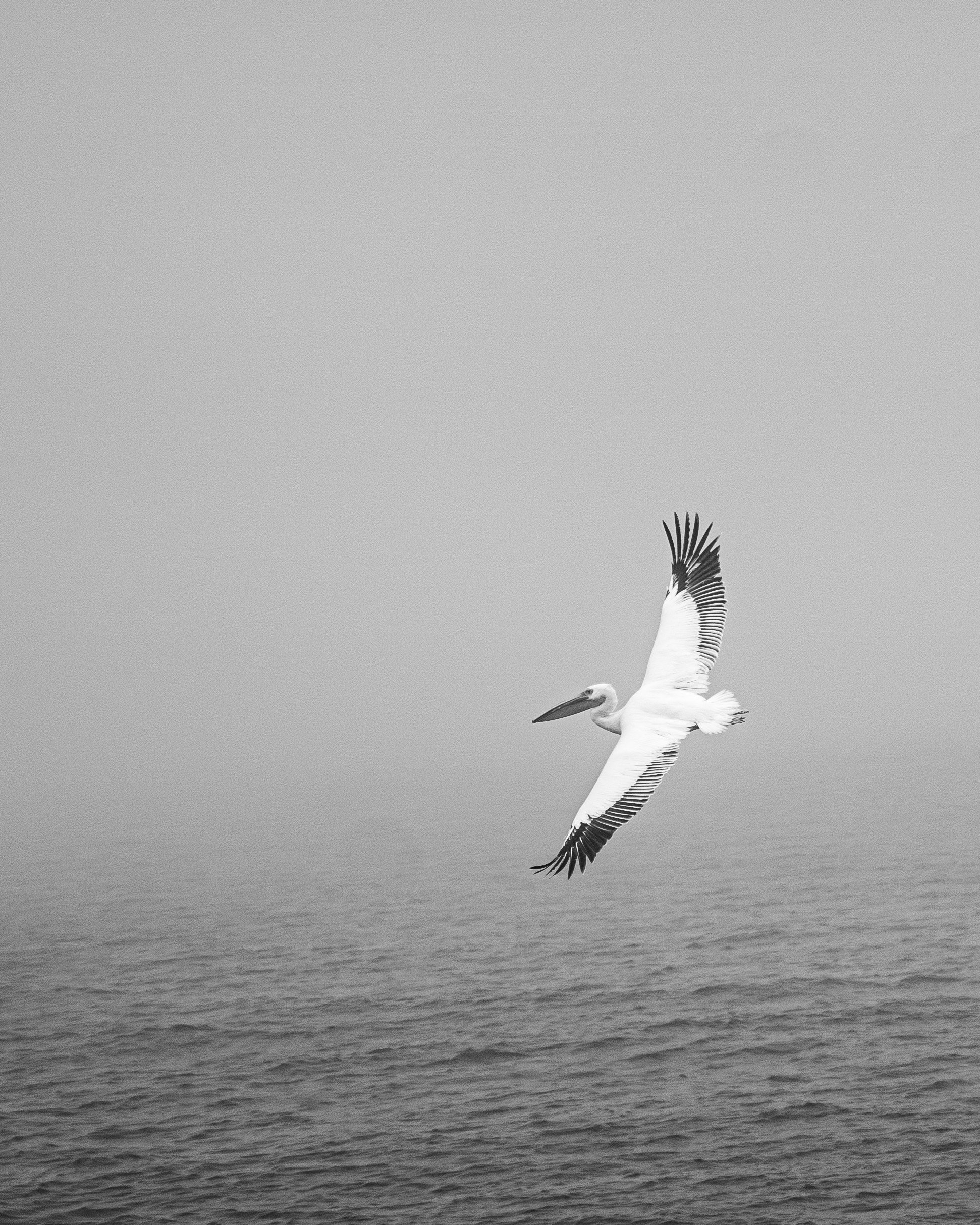DSC08886.jpg