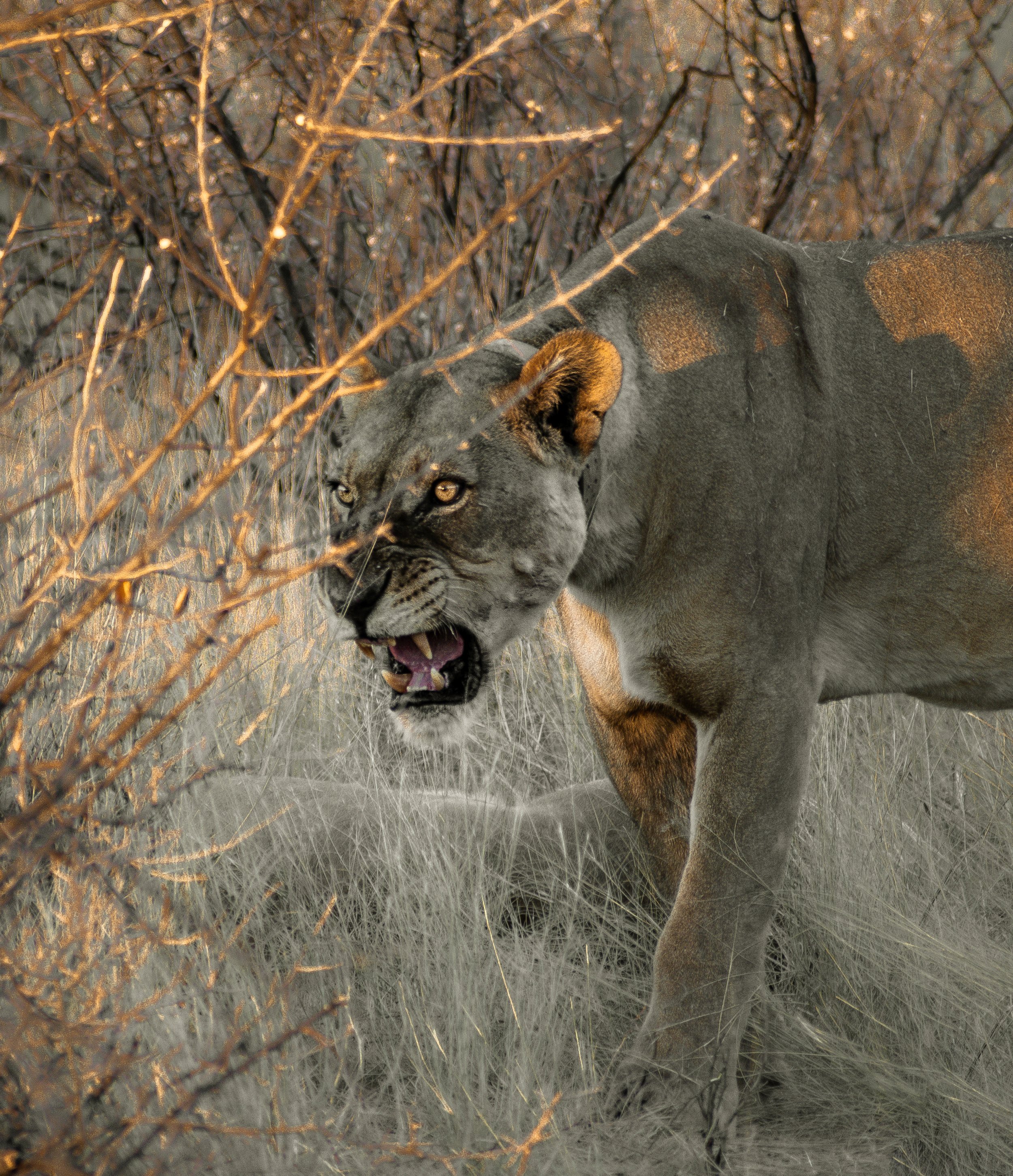 _DSC3502-Editar.jpg