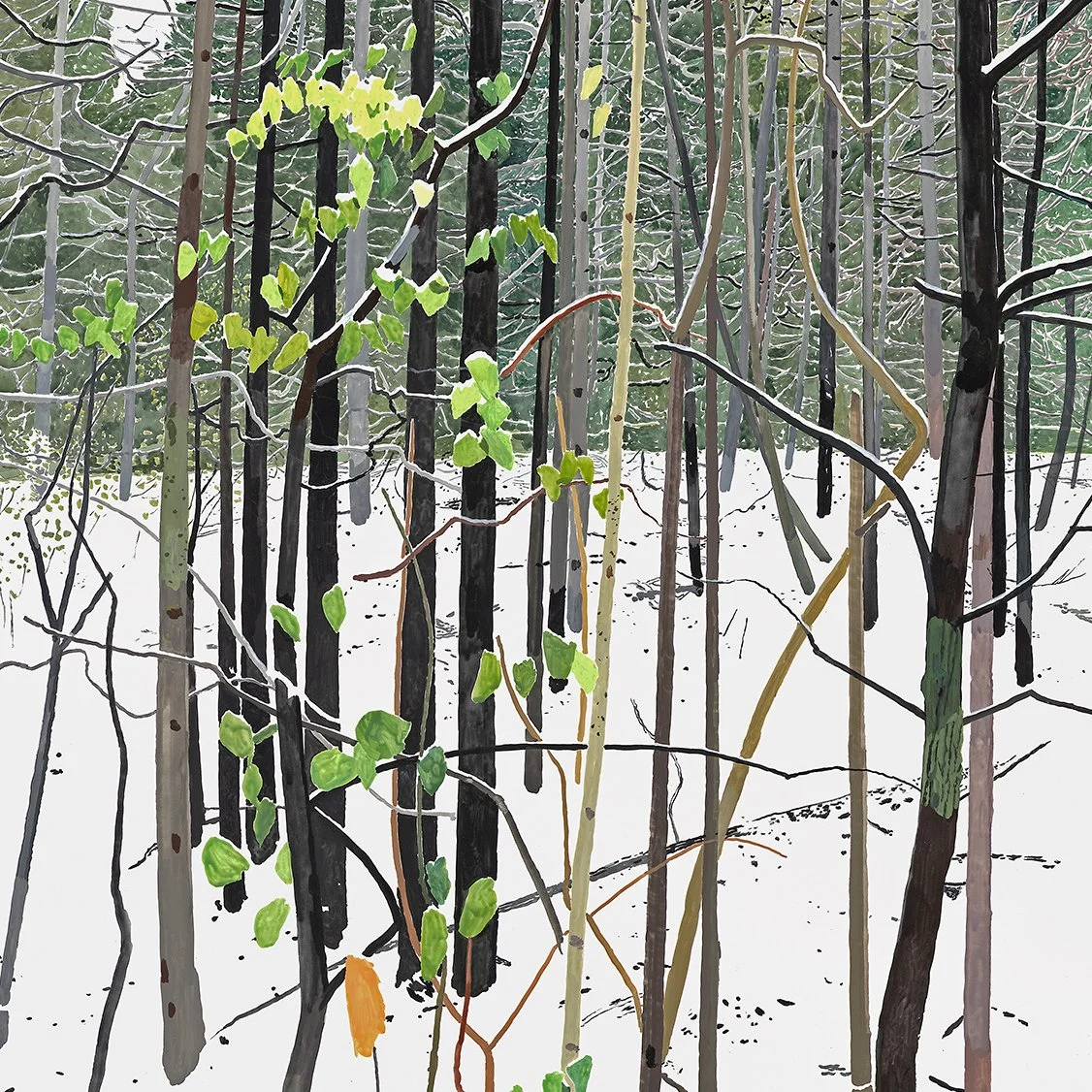 GN_End Of Winter Detail_web.jpg
