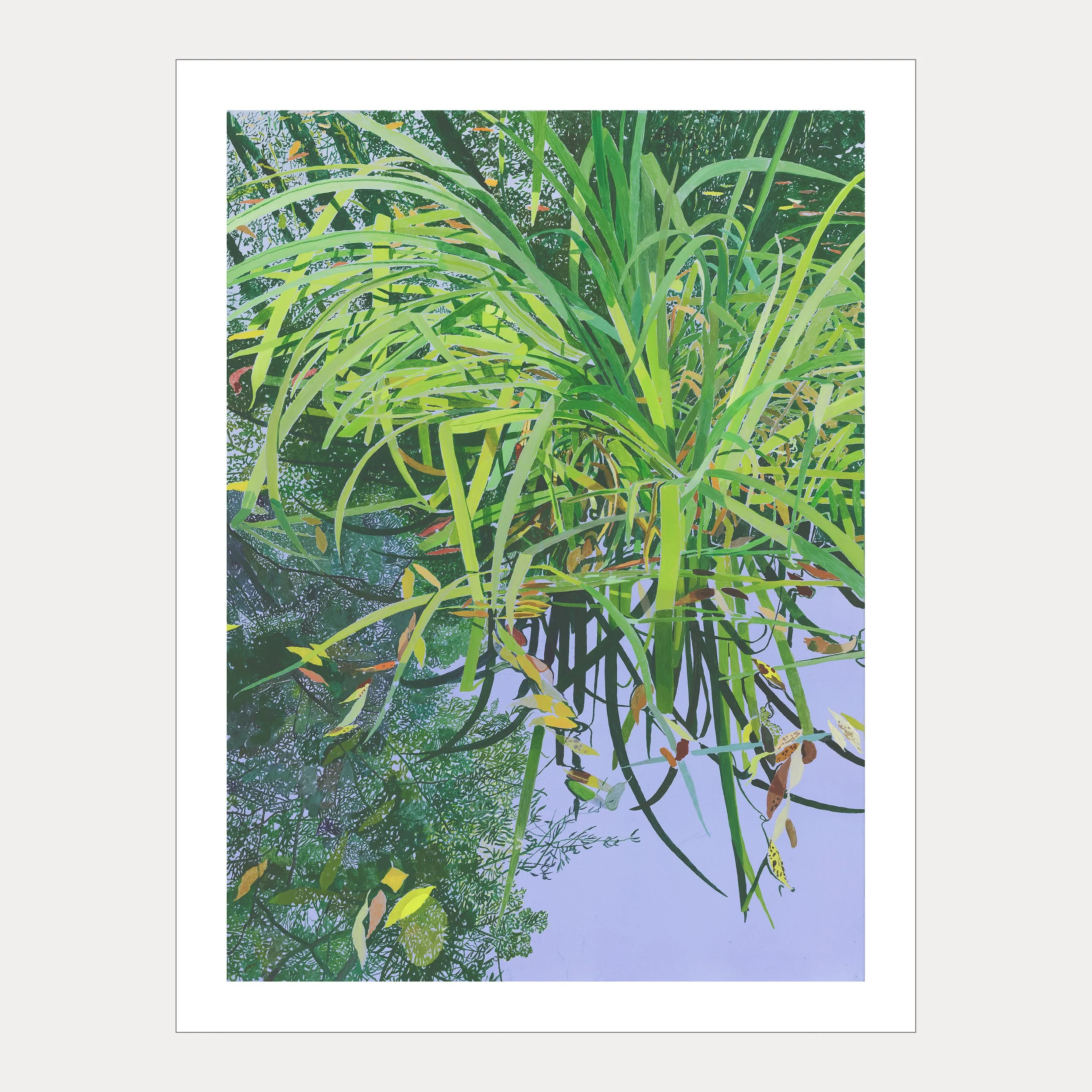 Reeds on Water, First Light
