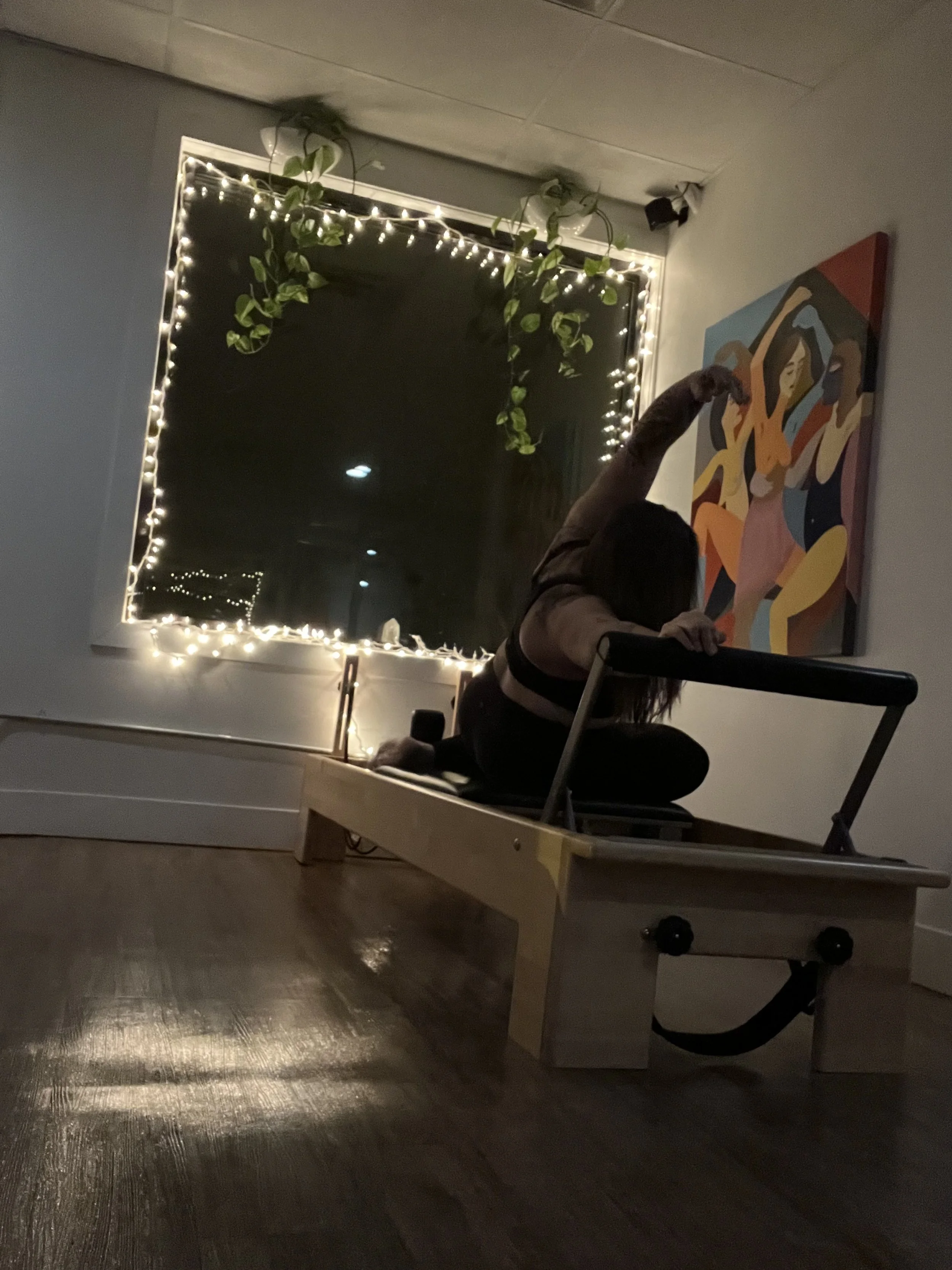 Pilates Reformer Teacher Trainer Class