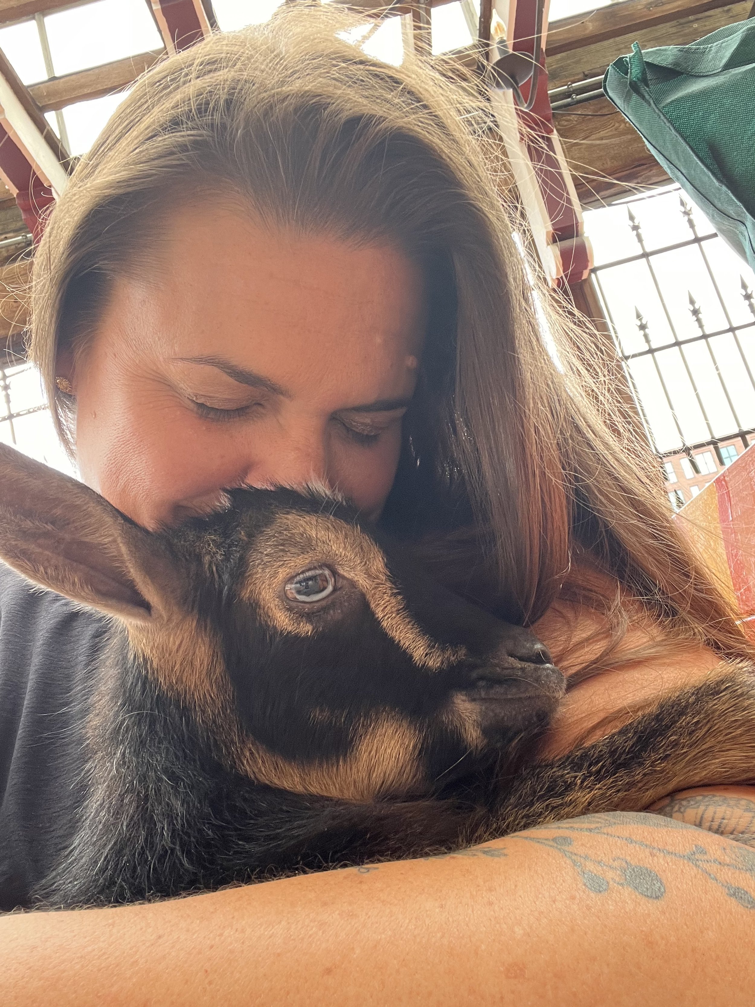 Goat Yoga