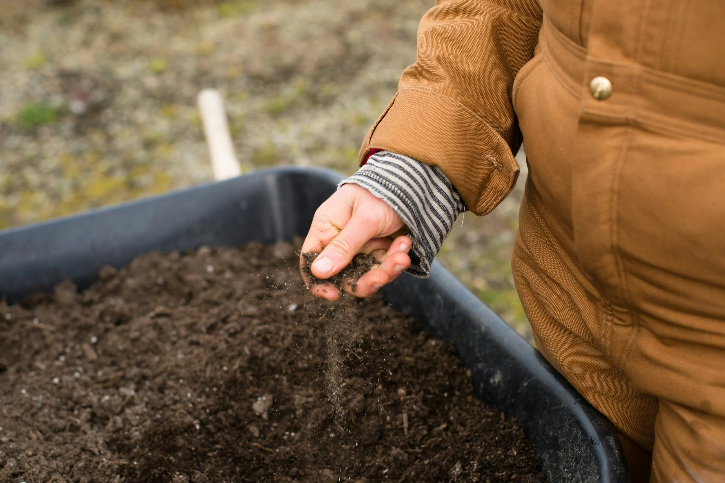 Barrhaven Garden Club: Improve your soil