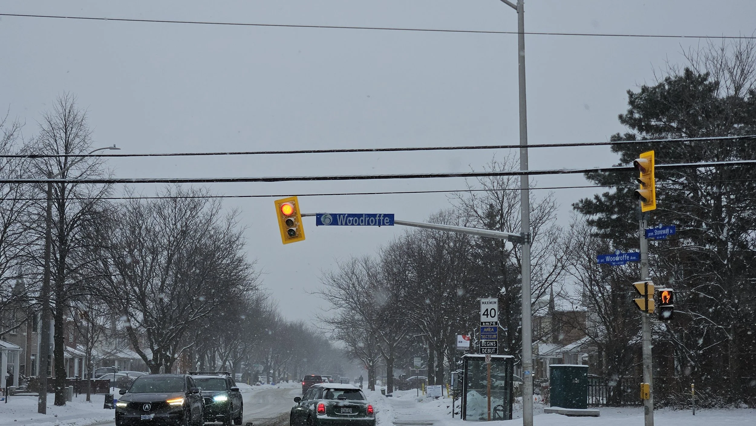 Weekly newsletter: January 20, 2026