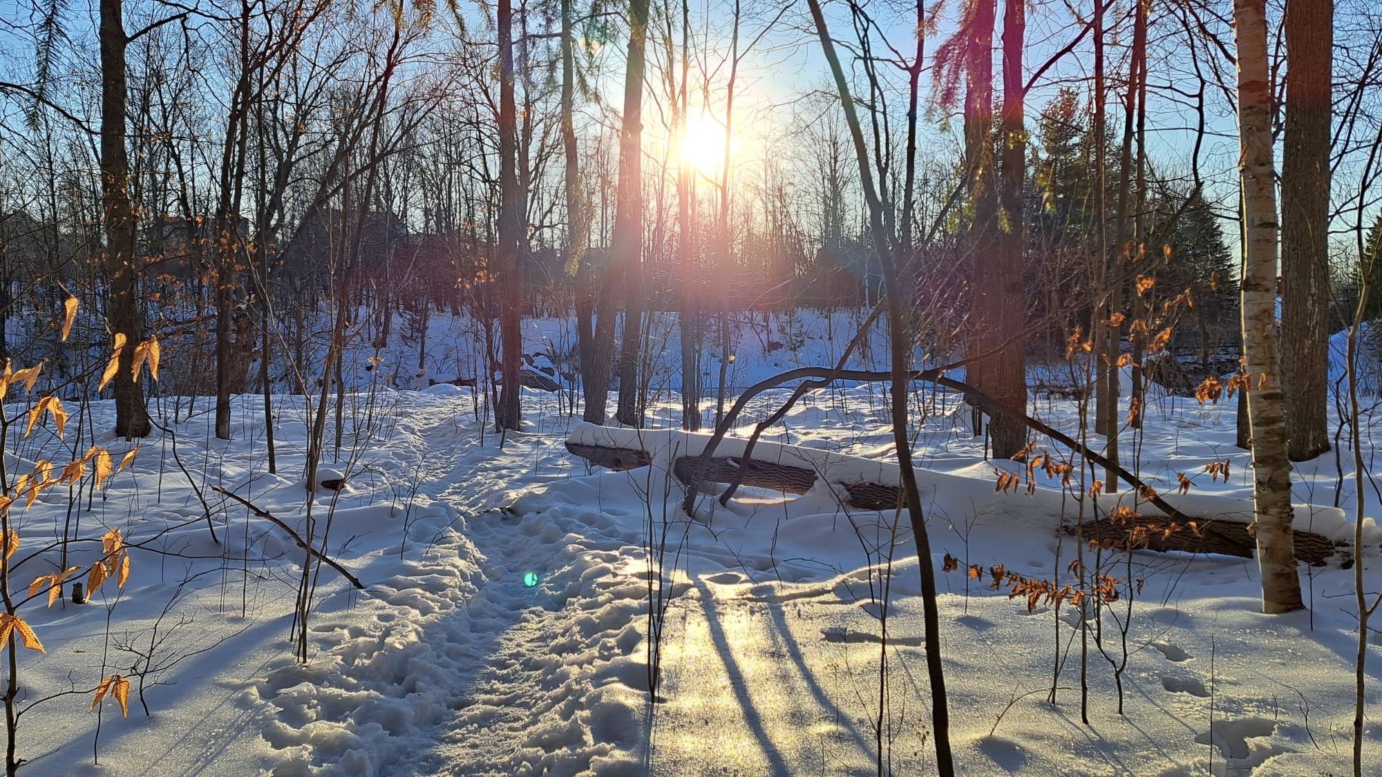 Weekly newsletter: February 10, 2025