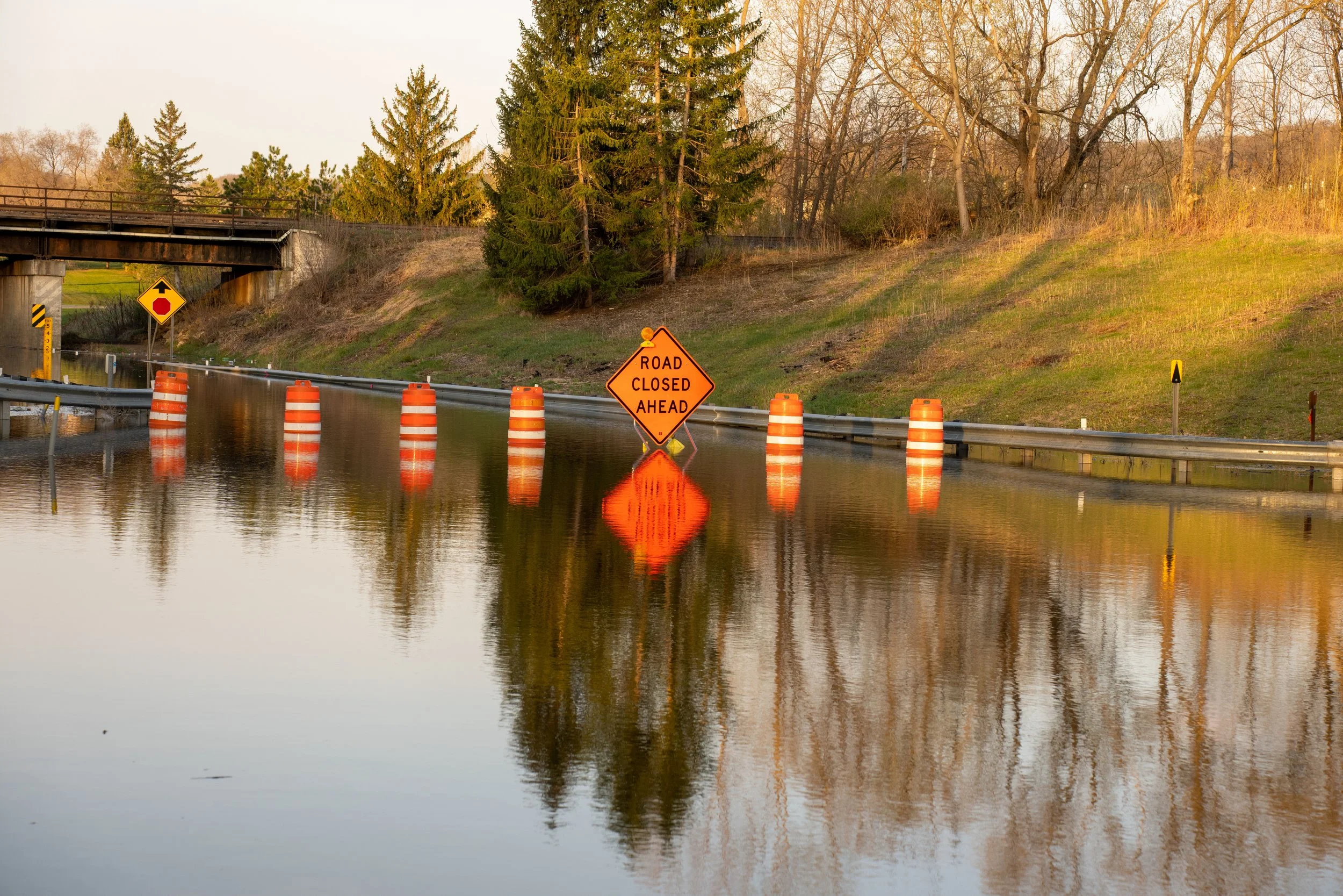 How to dispose of storm-related waste