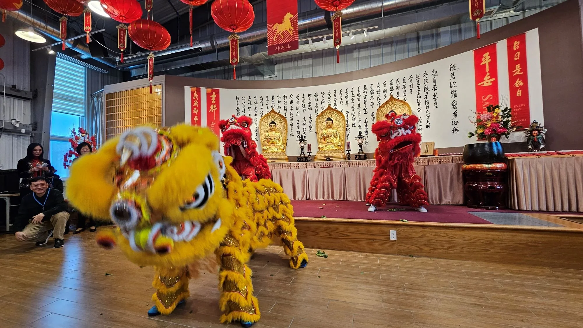 Weekly newsletter: February 24, 2025