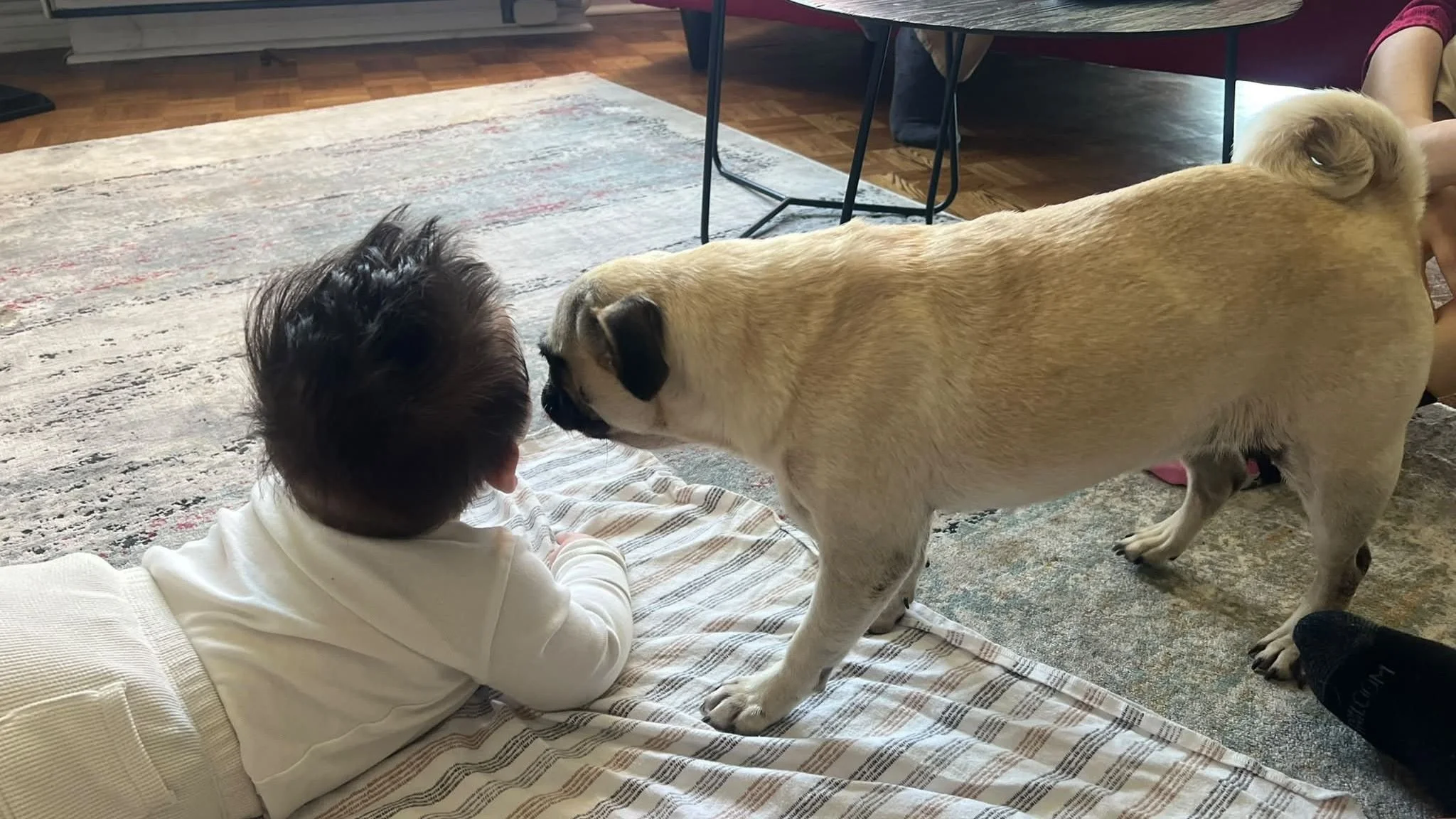 Weekly newsletter: May 19, 2026