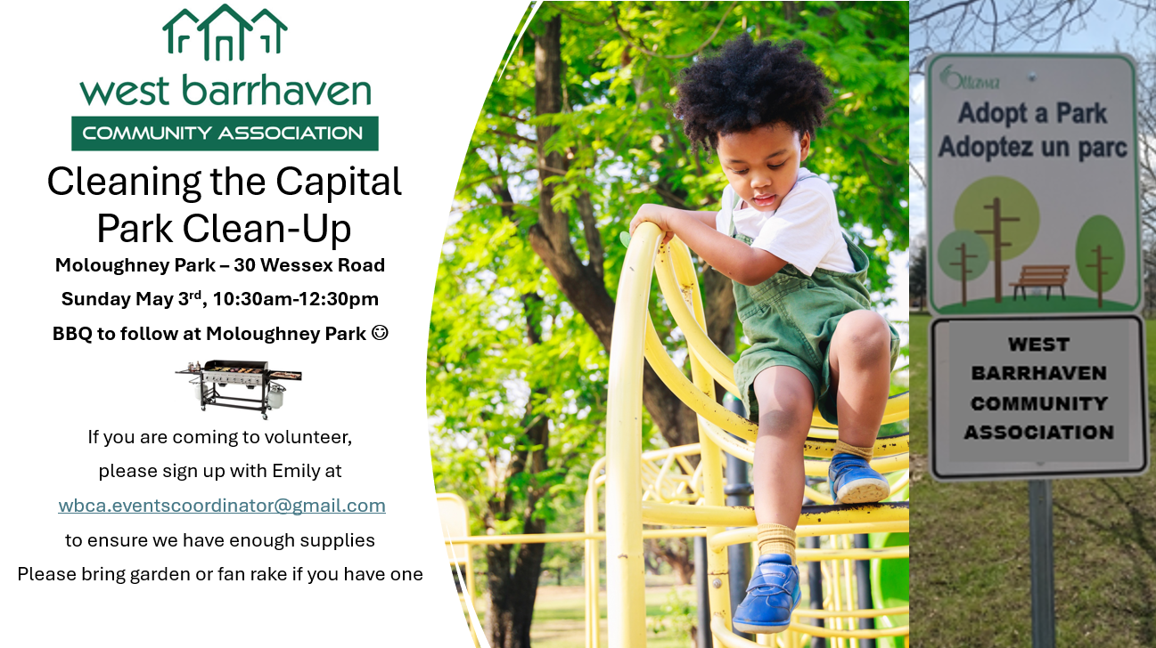 Moloughney Park: Cleaning the Capital park clean-up