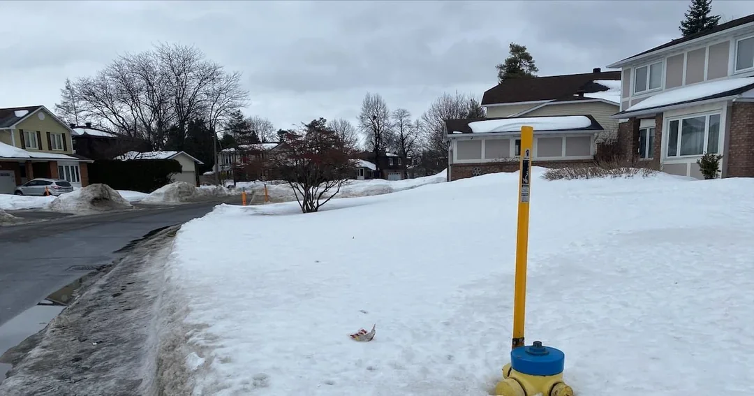 See a hydrant, clear a hydrant!