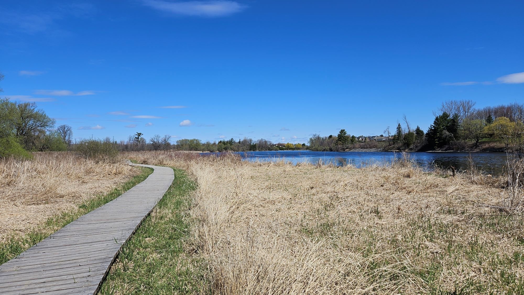 Weekly newsletter: May 5, 2026