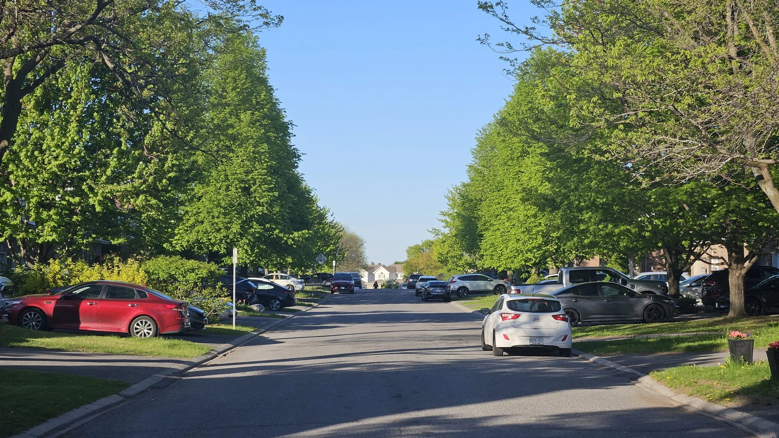 Weekly newsletter: May 26, 2026