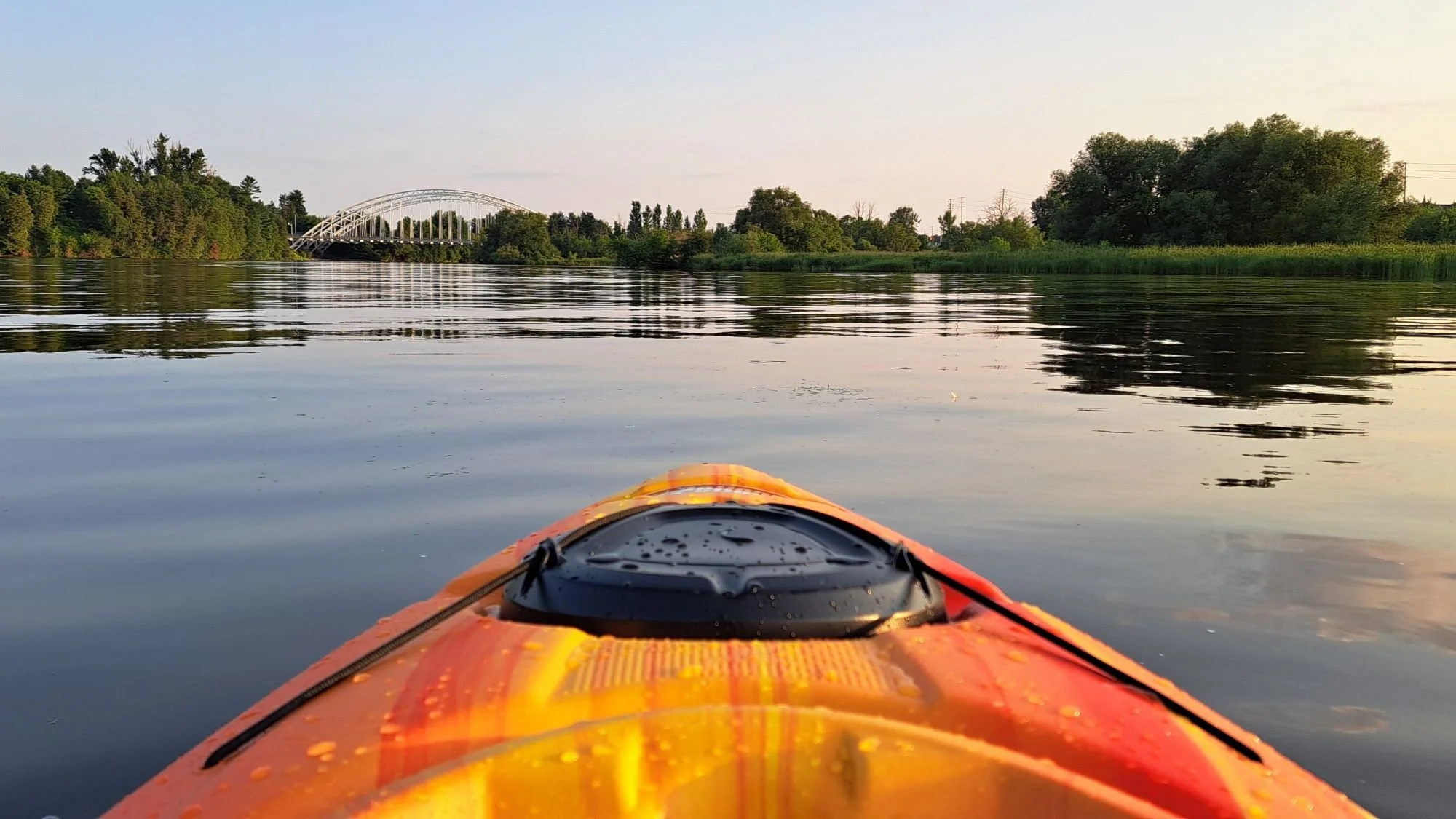 Weekly newsletter: August 4, 2026