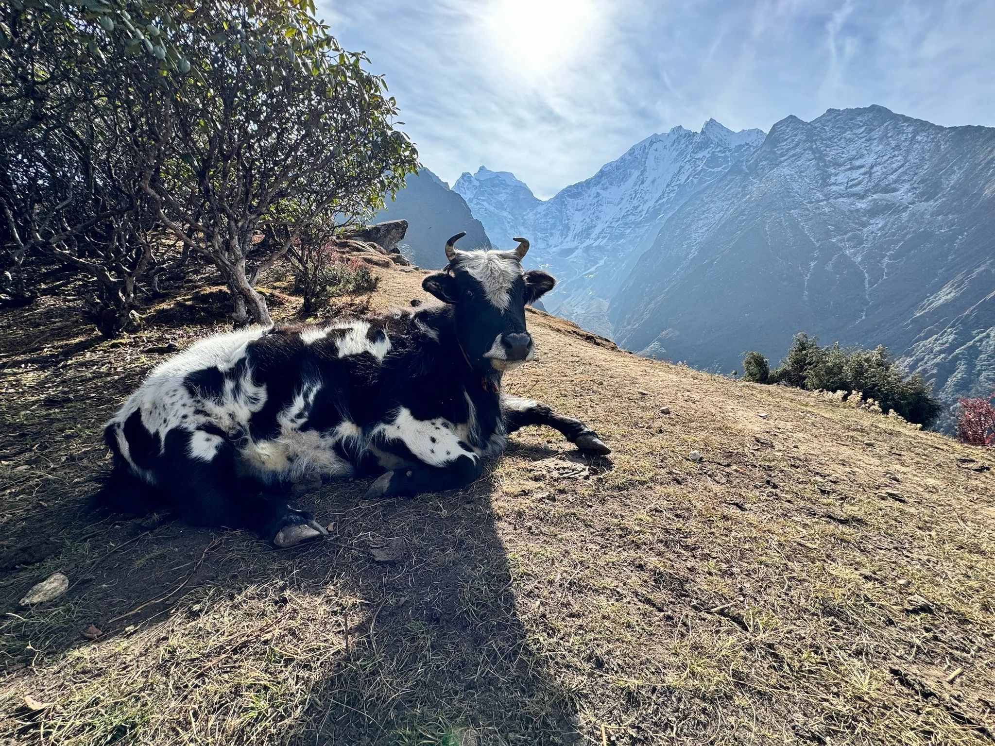 maxandhailey_travel-nepal-kathmandu-pokhara-lo-mutang-everest-mingma - 20.jpeg