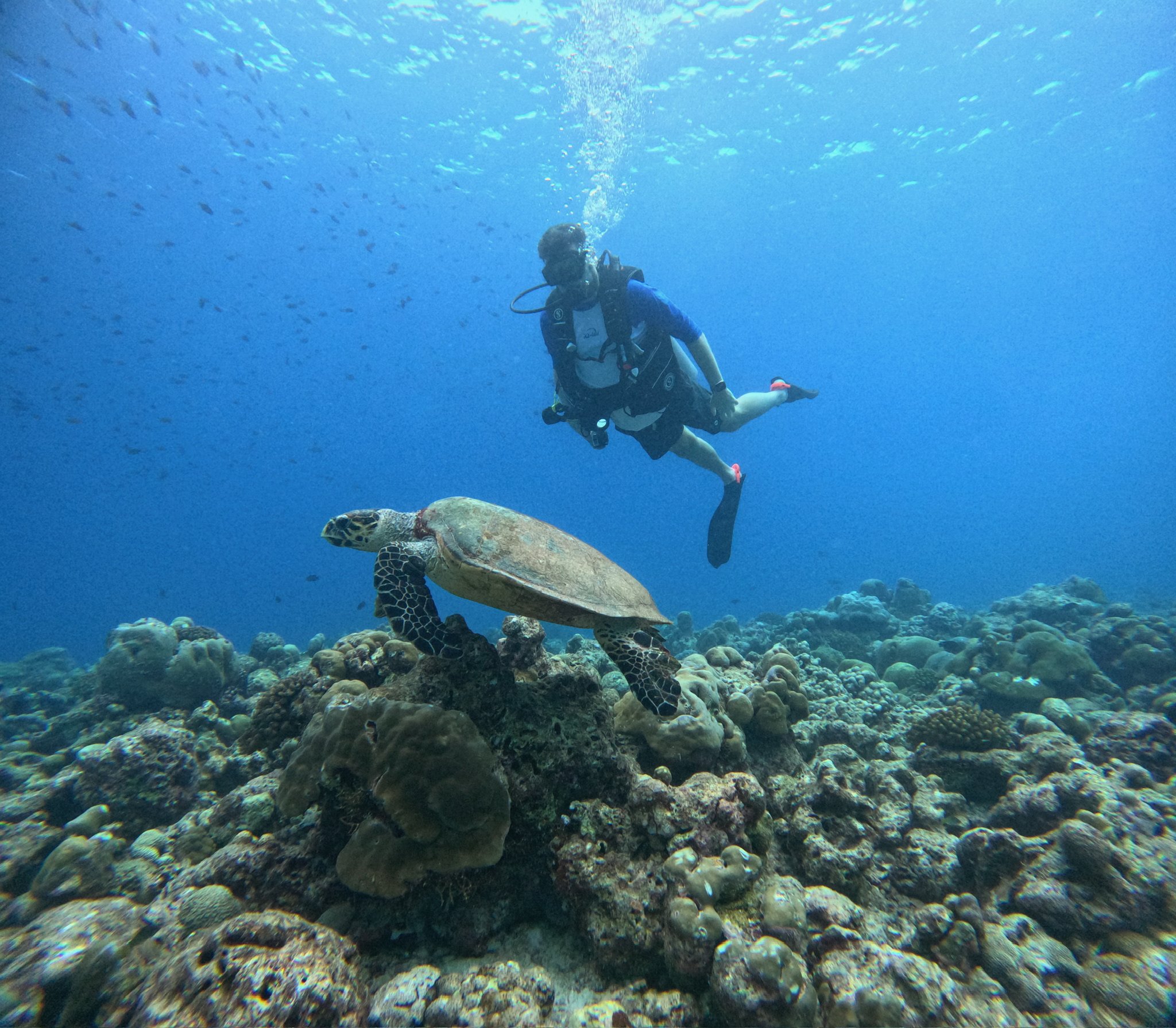 maxandhailey_travel-maldives-joali-being-maldive-islands - 22.jpeg