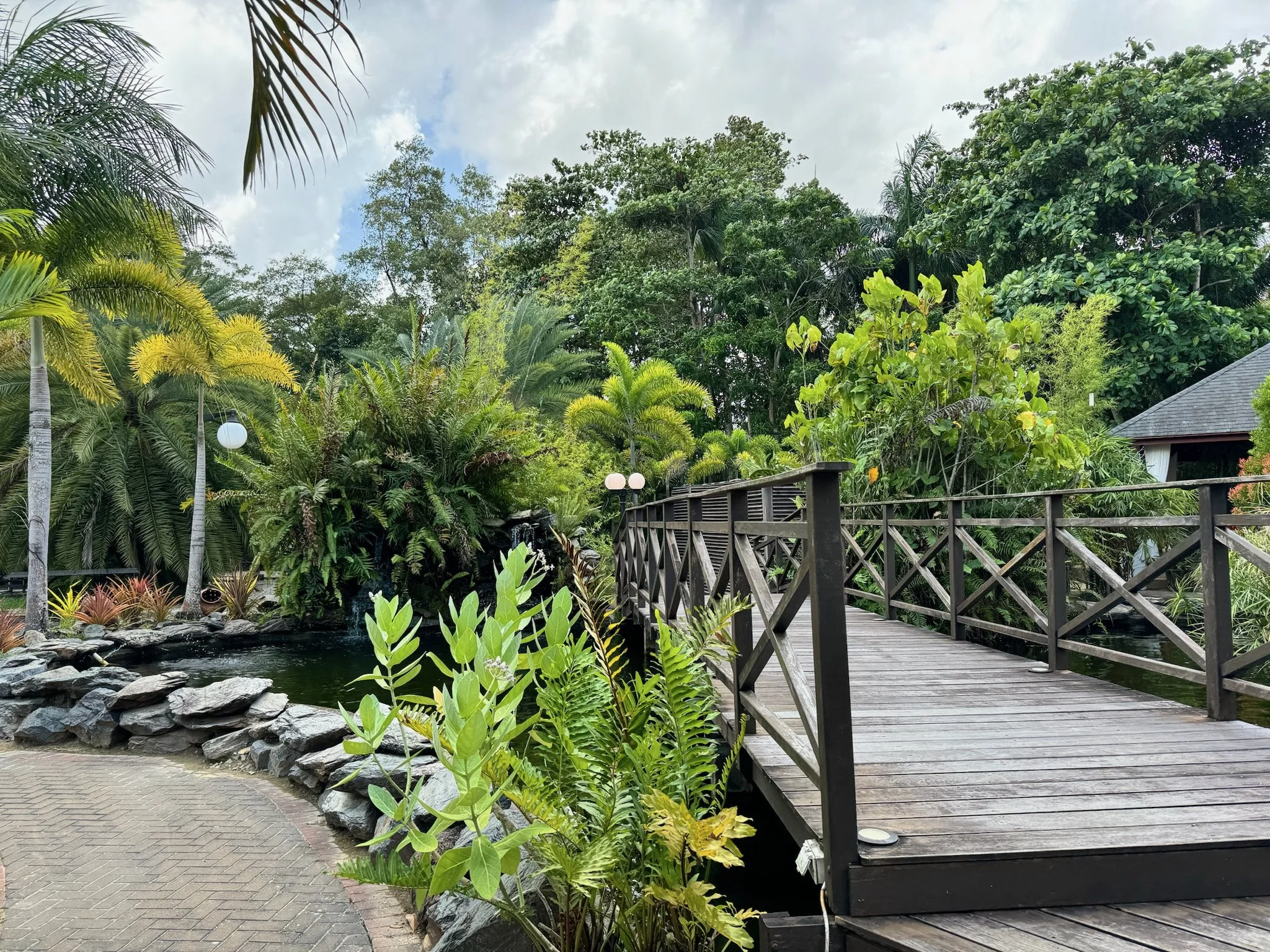 maxandhailey_travel-suriname - 3 (1).jpeg