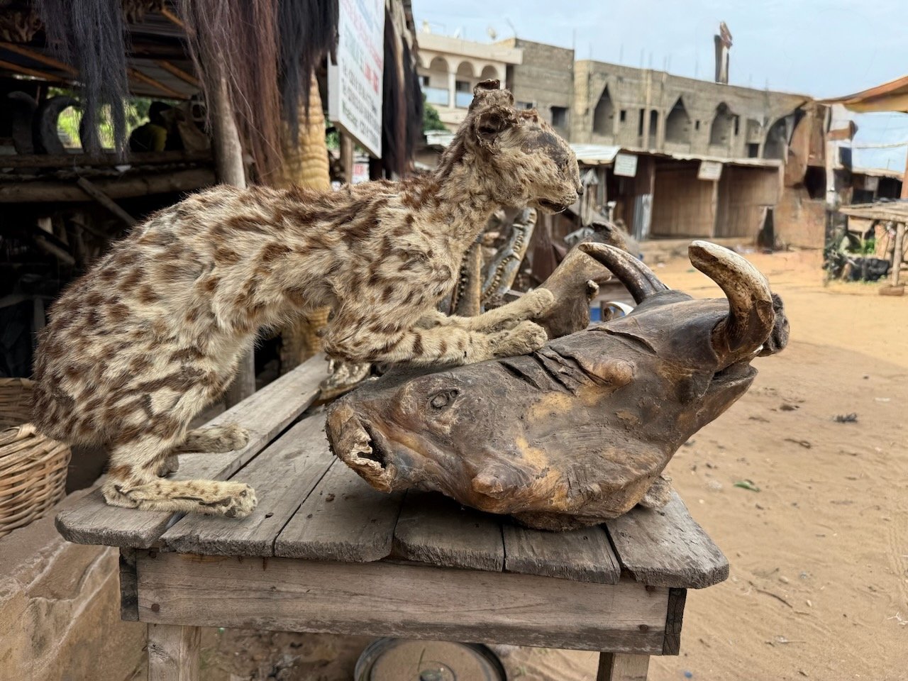 maxandhailey_travel_togo-lome - 10.jpeg