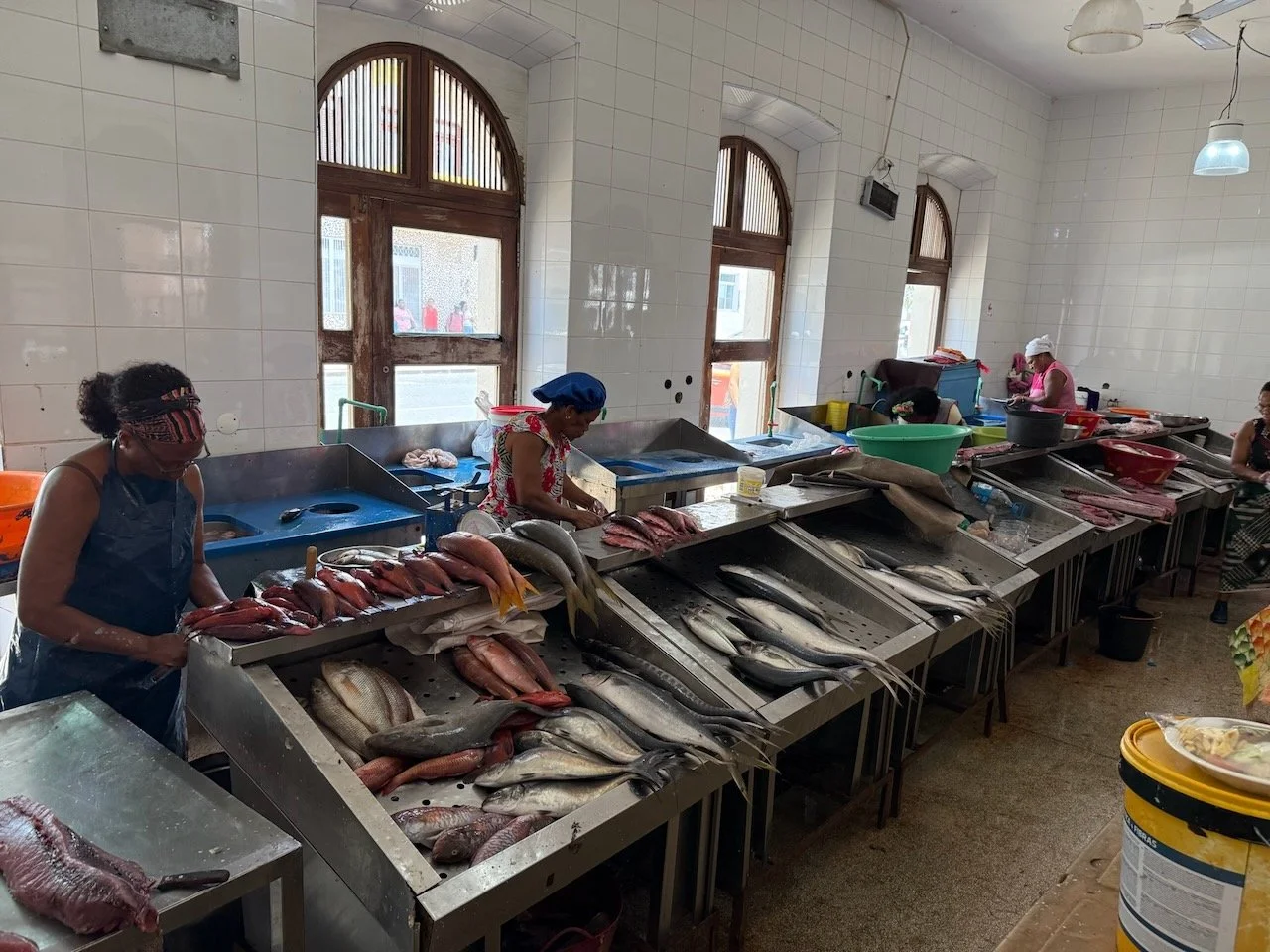 maxandhailey_travel_cape-verde - 10.jpeg