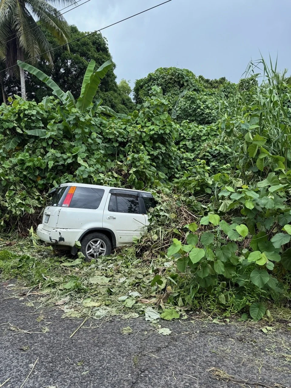 maxandhailey_travel_micronesia-pohnpei-nan-madol-ruins - 29.jpeg