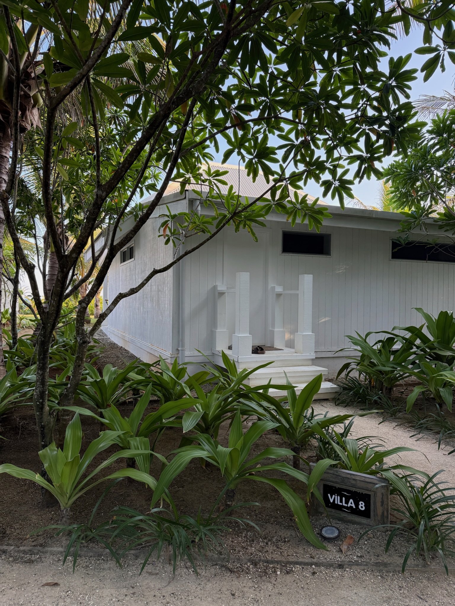 maxandhailey_travel_vanuatu - 3.jpeg