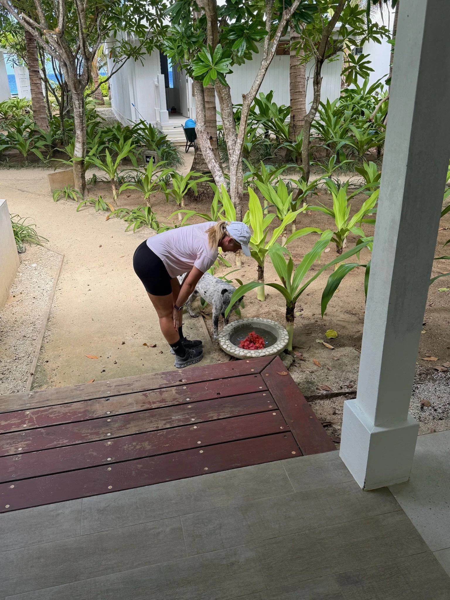 maxandhailey_travel_vanuatu - 9.jpeg