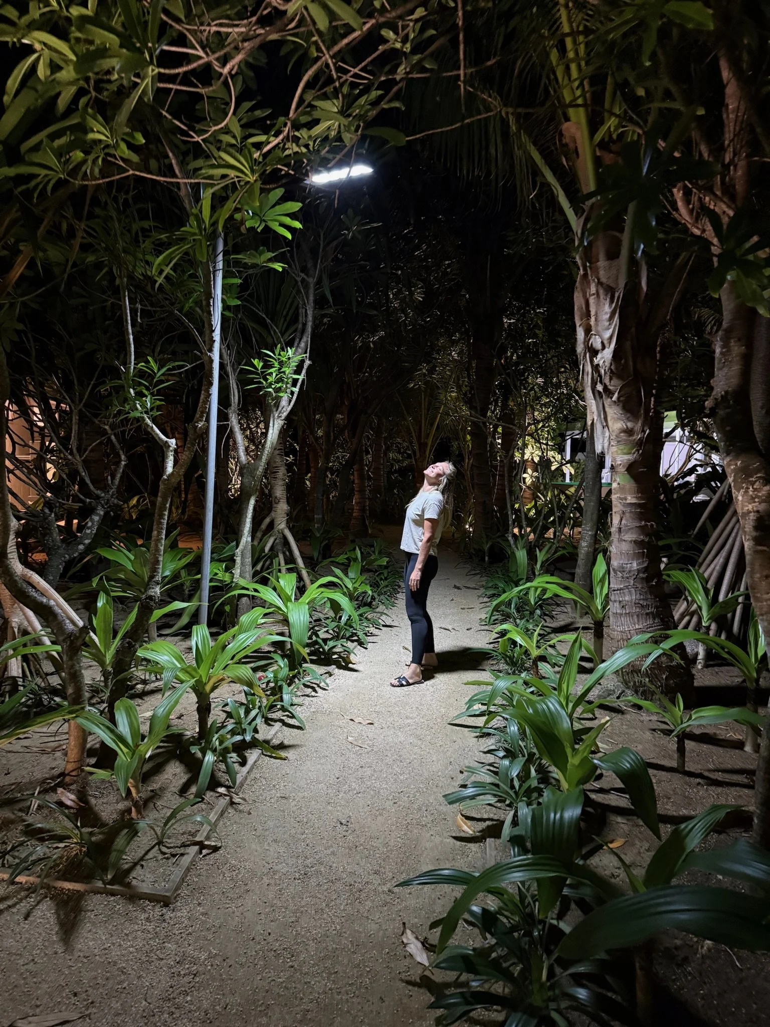 maxandhailey_travel_vanuatu - 13.jpeg