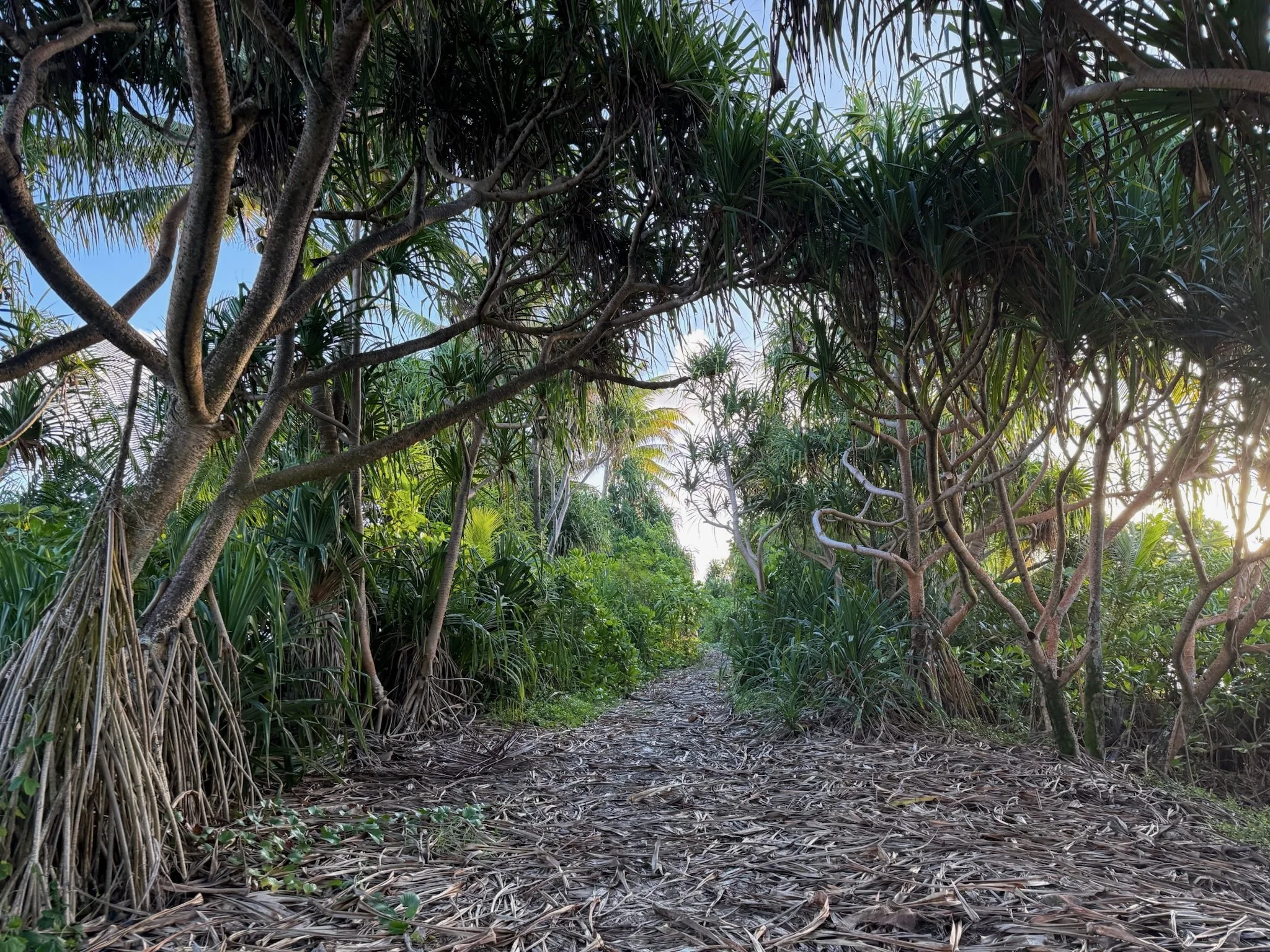 maxandhailey_travel_tuvalu - 8.jpeg