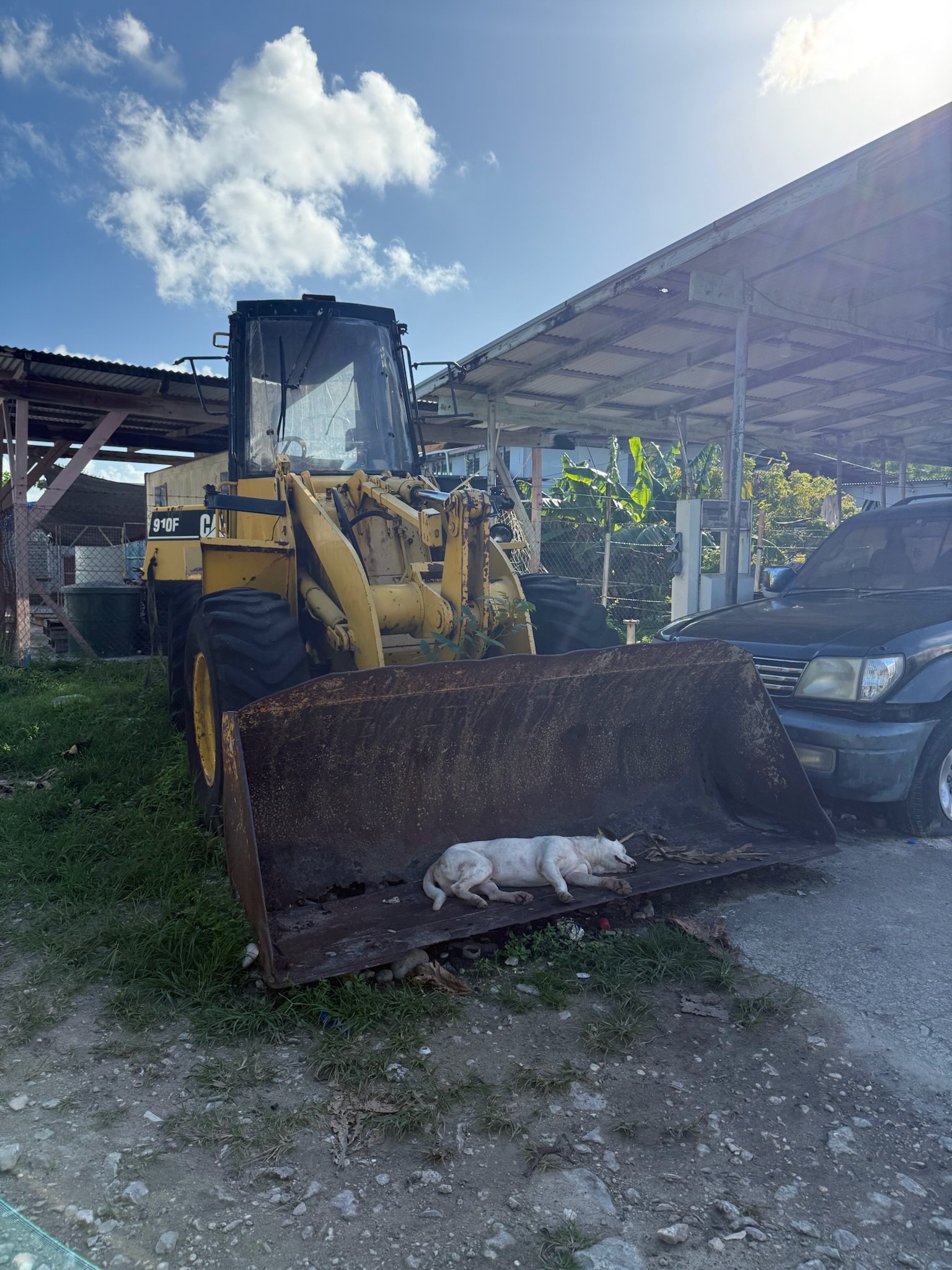 maxandhailey_travel_tuvalu - 17.jpeg