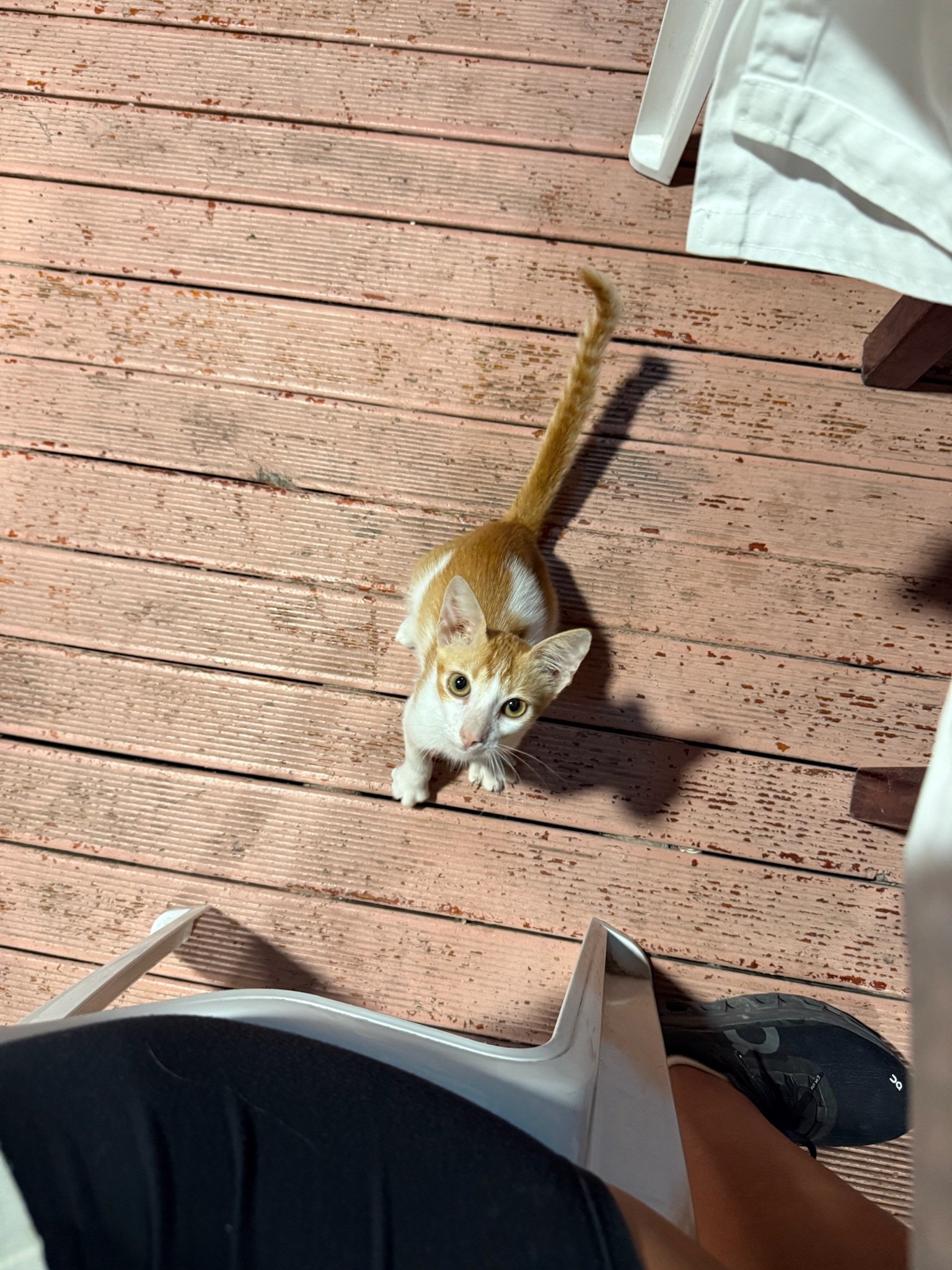 maxandhailey_travel_tuvalu - 14.jpeg