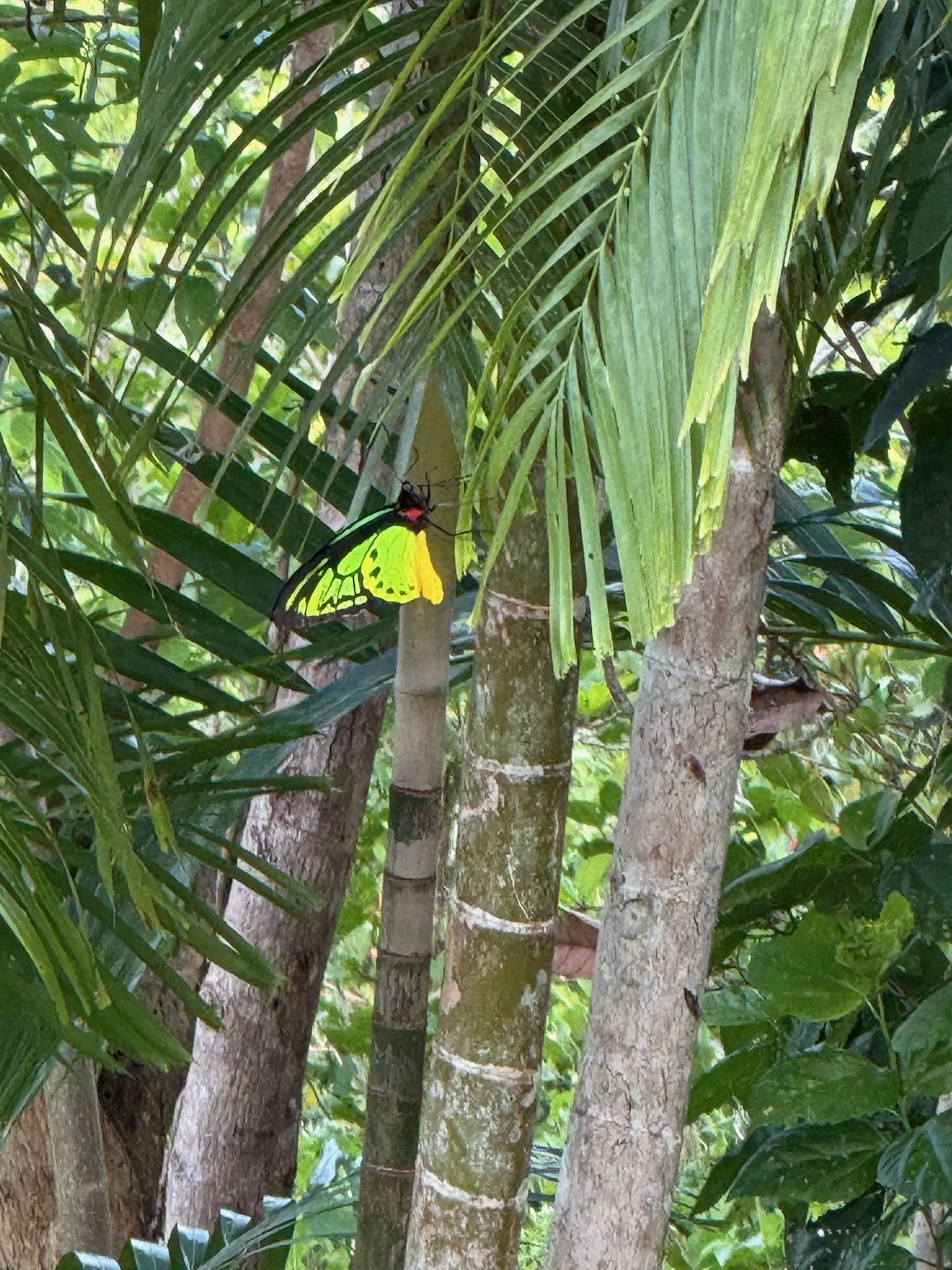 maxandhailey_travel_tufi-papua-new-guinea-port-moseby - 16.jpeg