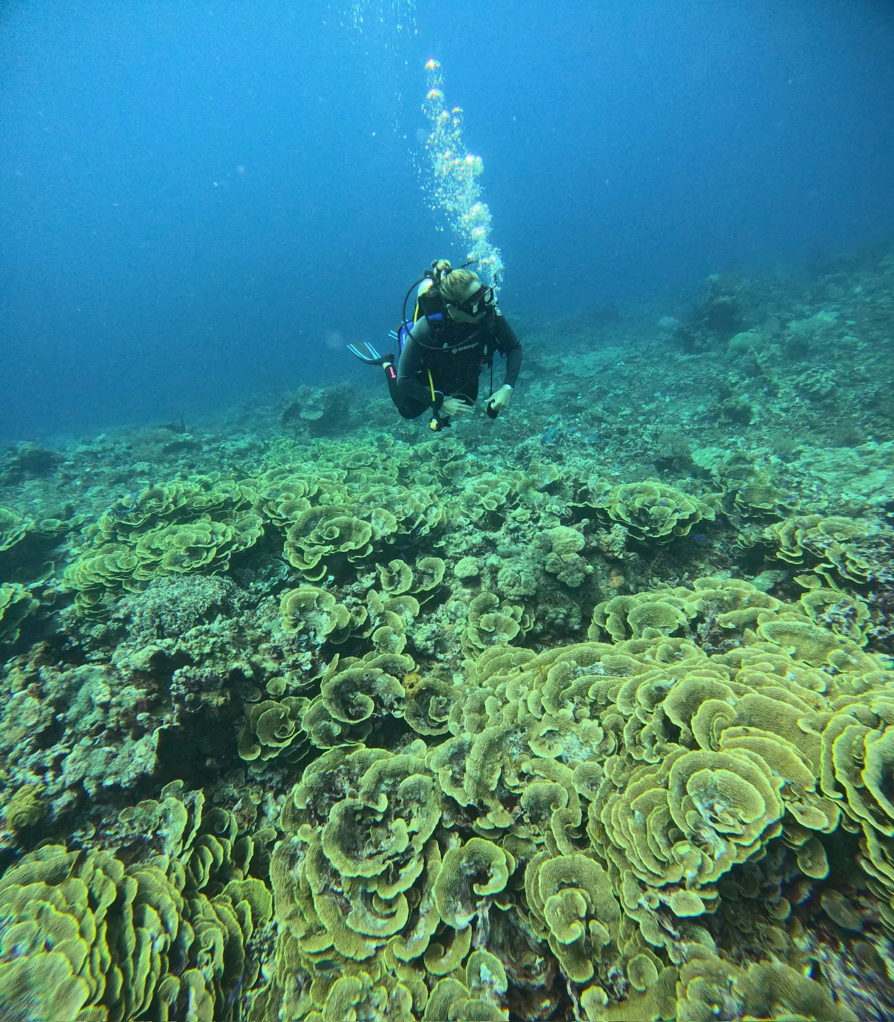 maxandhailey_travel_tufi-papua-new-guinea-port-moseby - 12.jpeg