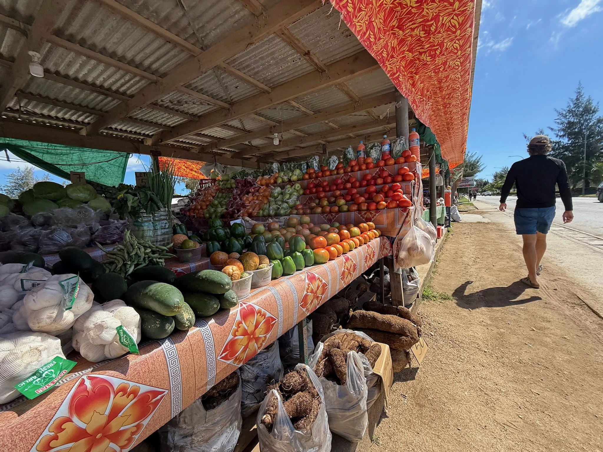 maxandhailey_travel_tonga-humpback-whale-swimming - 10.jpeg