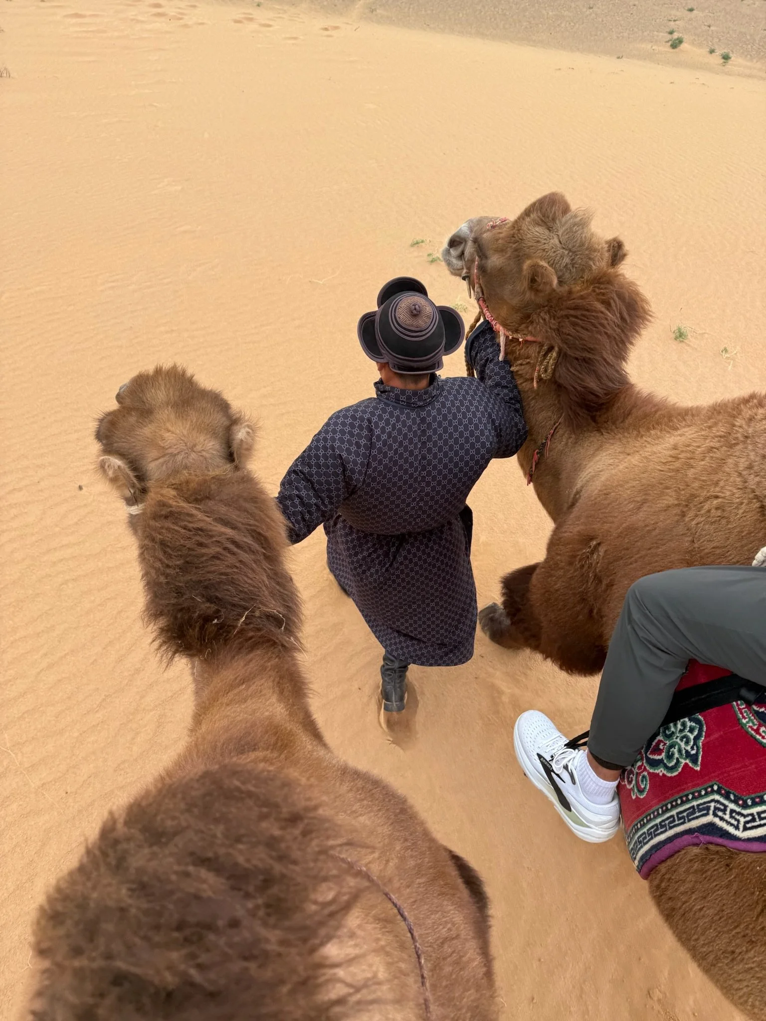 maxandhailey-travel_mongolia-ulaanbaatar-gobi-desert-three-camel-lodge-flaming-ghengis - 13.jpeg
