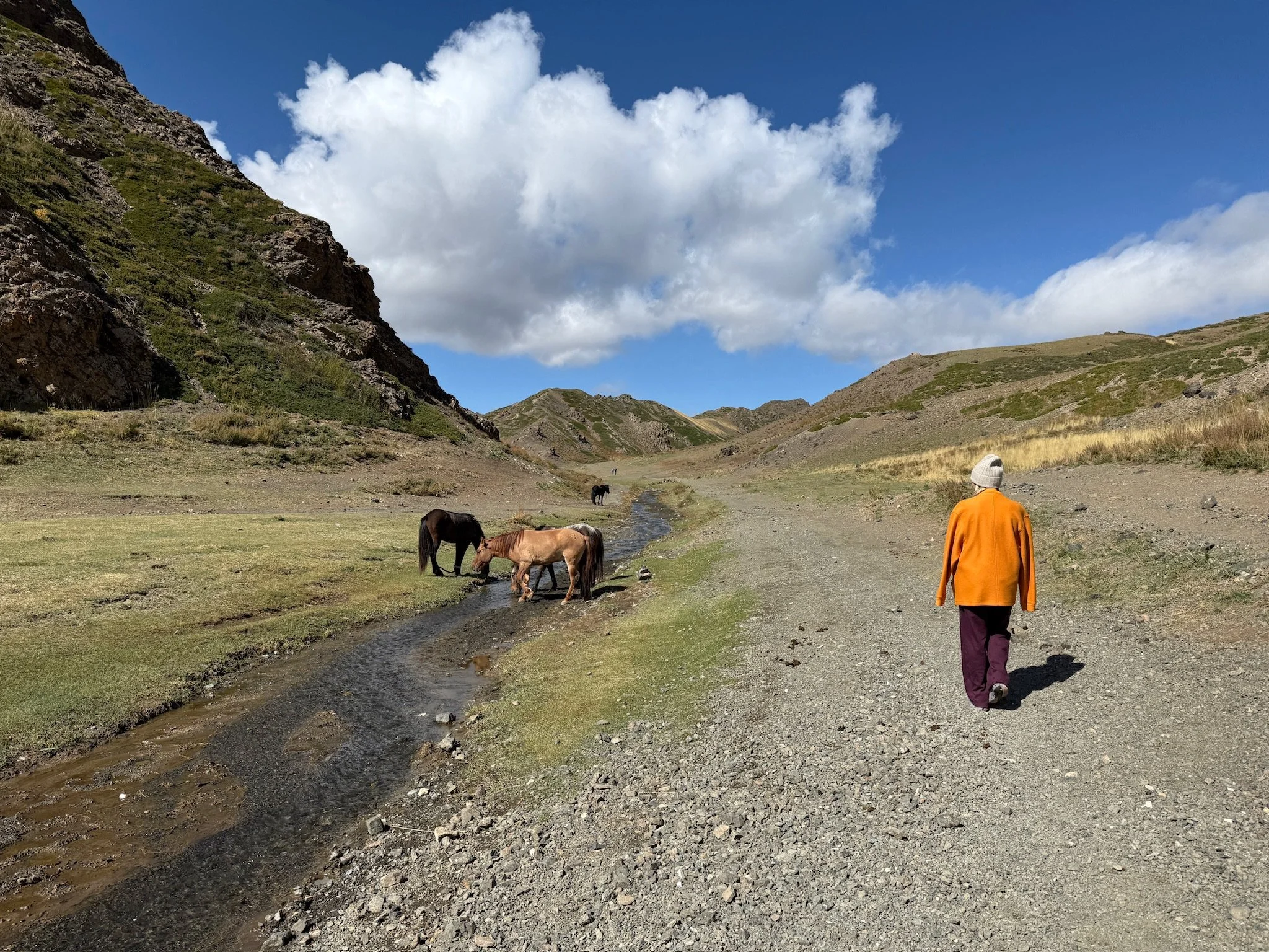 maxandhailey-travel_mongolia-ulaanbaatar-gobi-desert-three-camel-lodge-flaming-ghengis - 23.jpeg