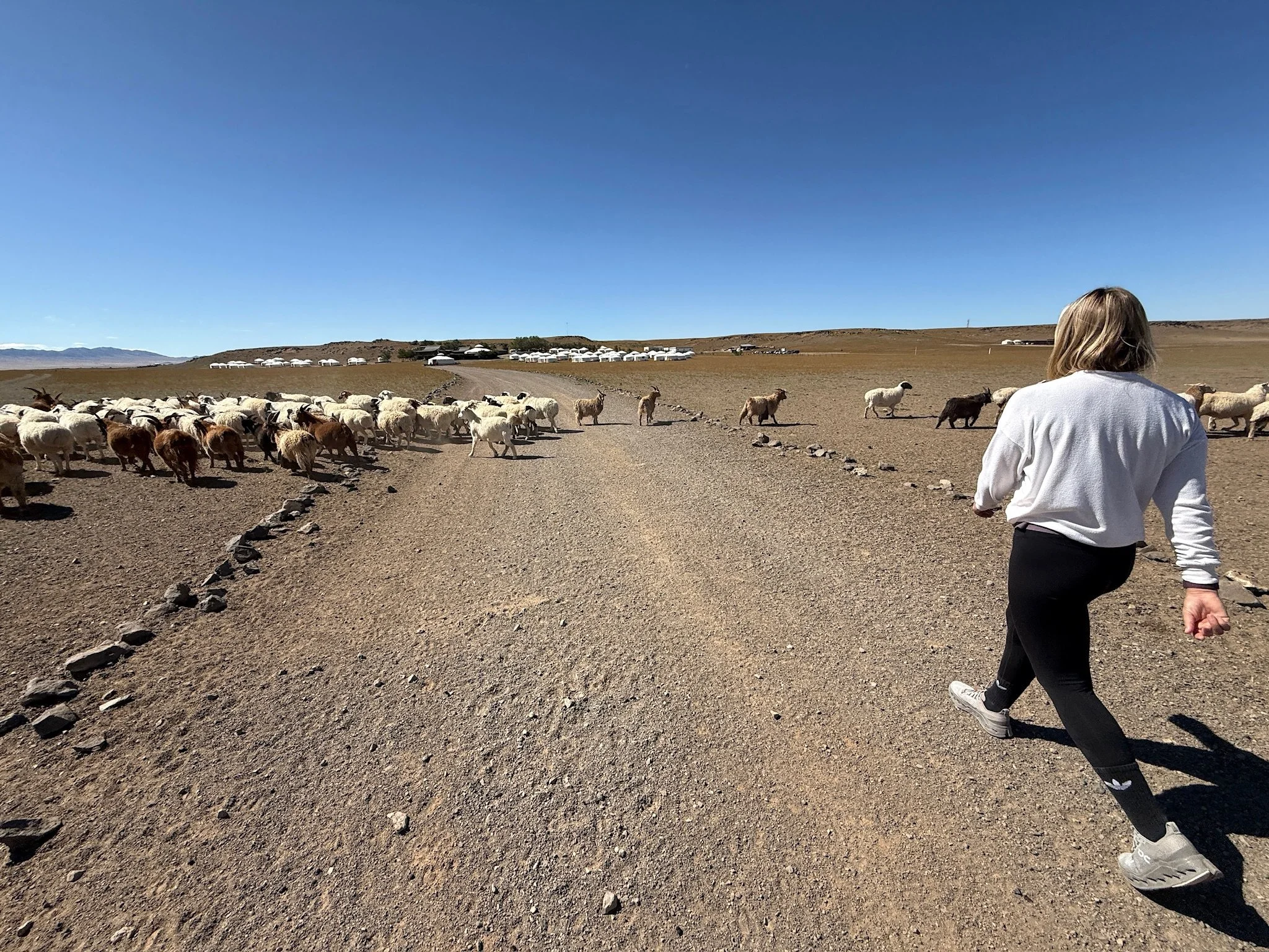 maxandhailey-travel_mongolia-ulaanbaatar-gobi-desert-three-camel-lodge-flaming-ghengis - 33.jpeg
