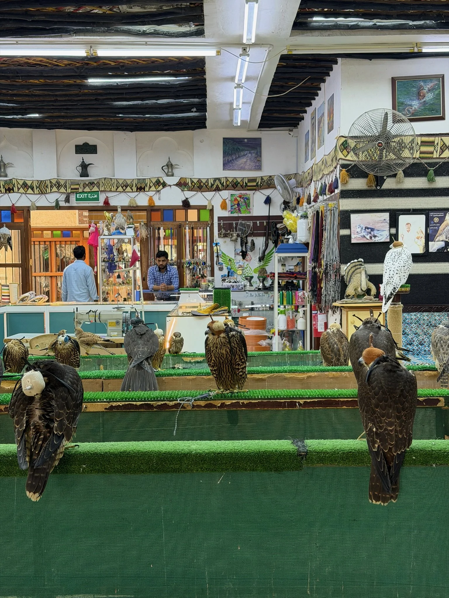 maxandhailey-travel_Qatar-doha - 7.jpeg